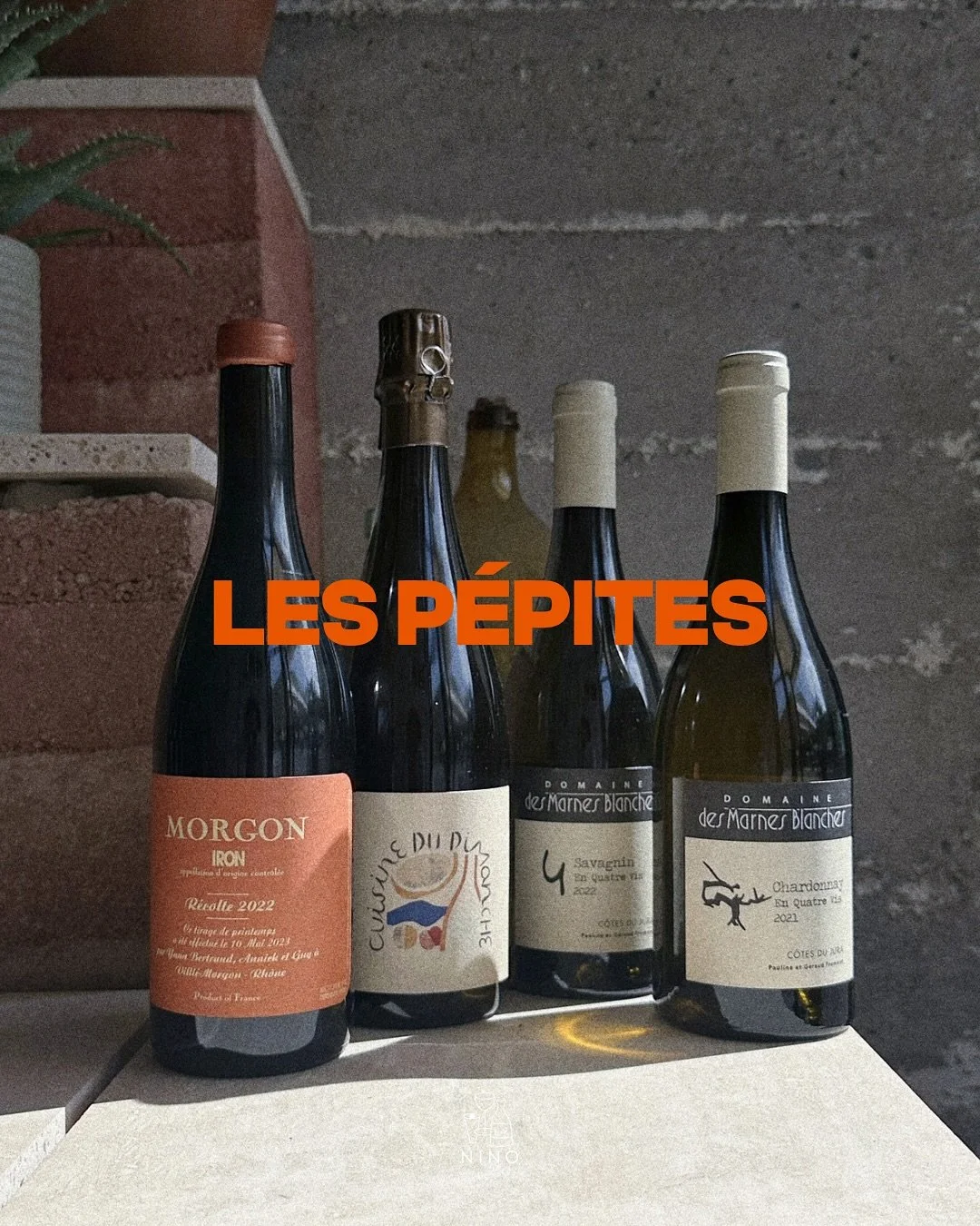 C&rsquo;est le week-end et nous avons quelques P&Eacute;PITES pour vous ! Nous avons reconstitu&eacute; le stock de certains de nos vins pr&eacute;f&eacute;r&eacute;s, re&ccedil;u de nouveaux mill&eacute;simes et m&ecirc;me quelques classiques qui fo