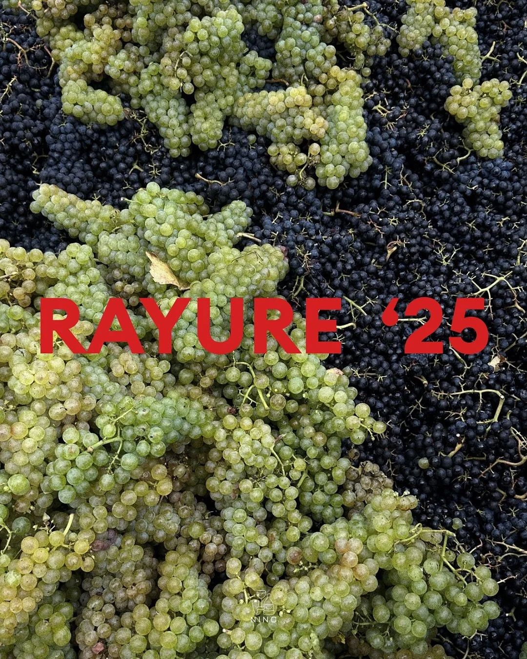 La vendange RAYURE 2025 est finie !
C&rsquo;est devenu une vraie tradition : chaque ann&eacute;e, on se retrouve tous un dimanche au @domaineduchambet pour vendanger, boire des bons canons et partager un bon repas !
Cette ann&eacute;e, Rayure va &eci