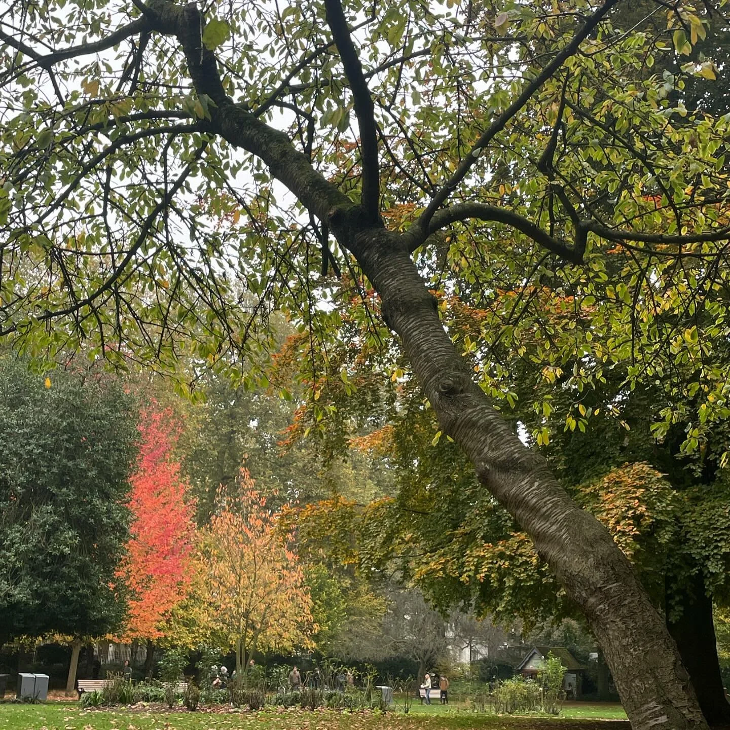 ♻️ In these ever fluctuating times we are currently living in, it is unimaginable to bring any project to life, without first thinking of its environmental impact. It is for the reason that we chose wire binding, conscious of the afterlife of each no