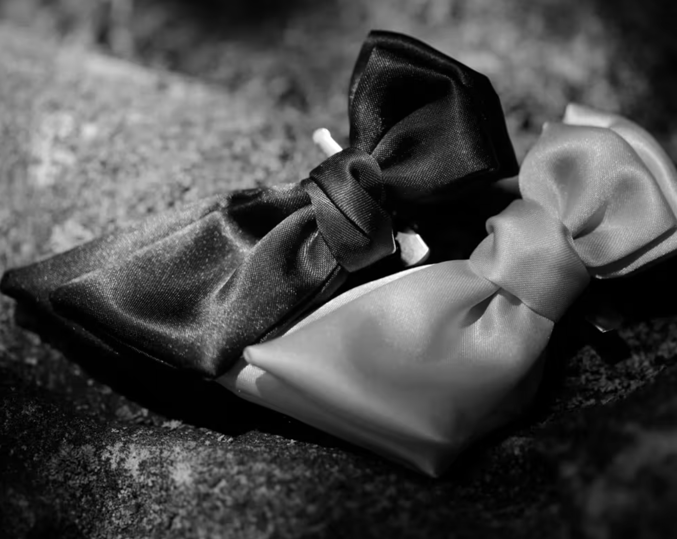 Skærmbillede 2026-02-24 kl. 10.59.58.png