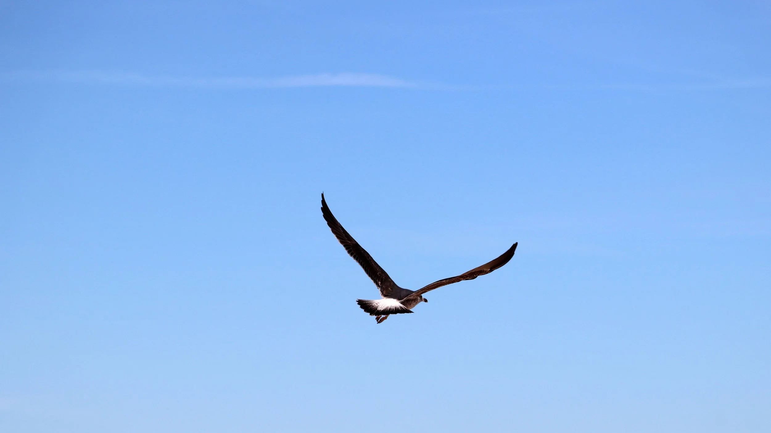 IMG_5487.JPG