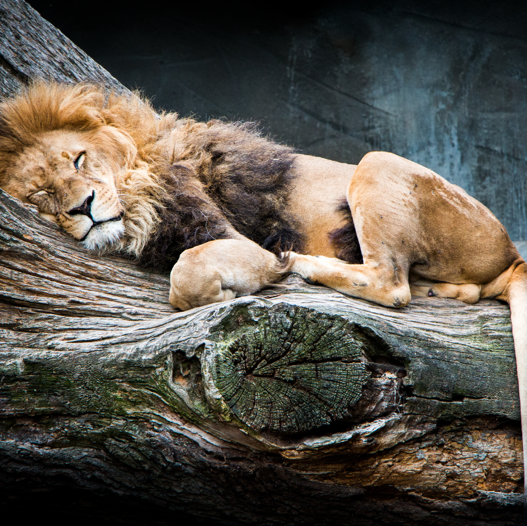 Wake Up—It’s 2023!