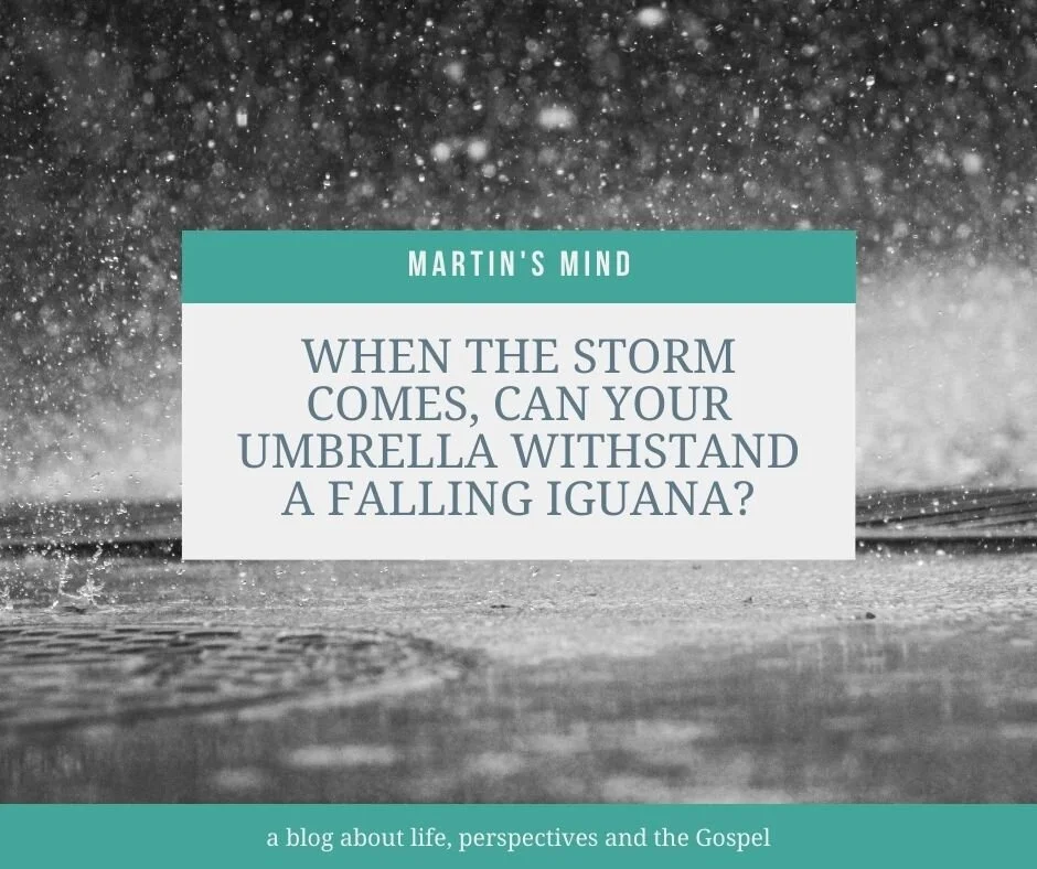 When the Storm Comes, Can Your Umbrella Withstand a Falling Iguana?