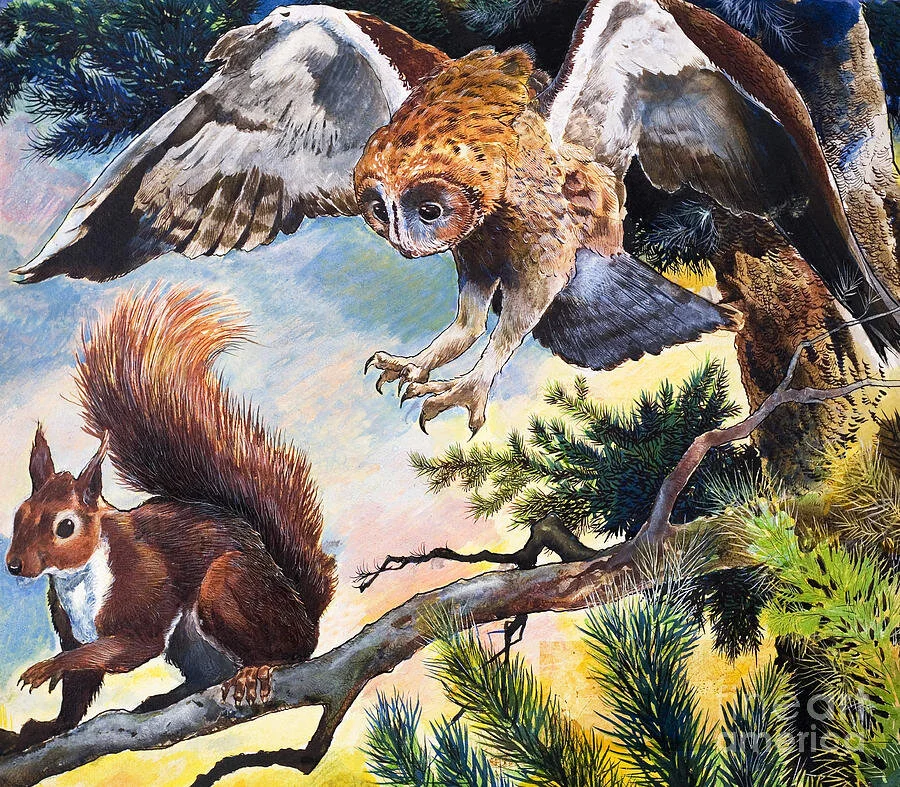 Praying Hands &amp; Swooping Owls