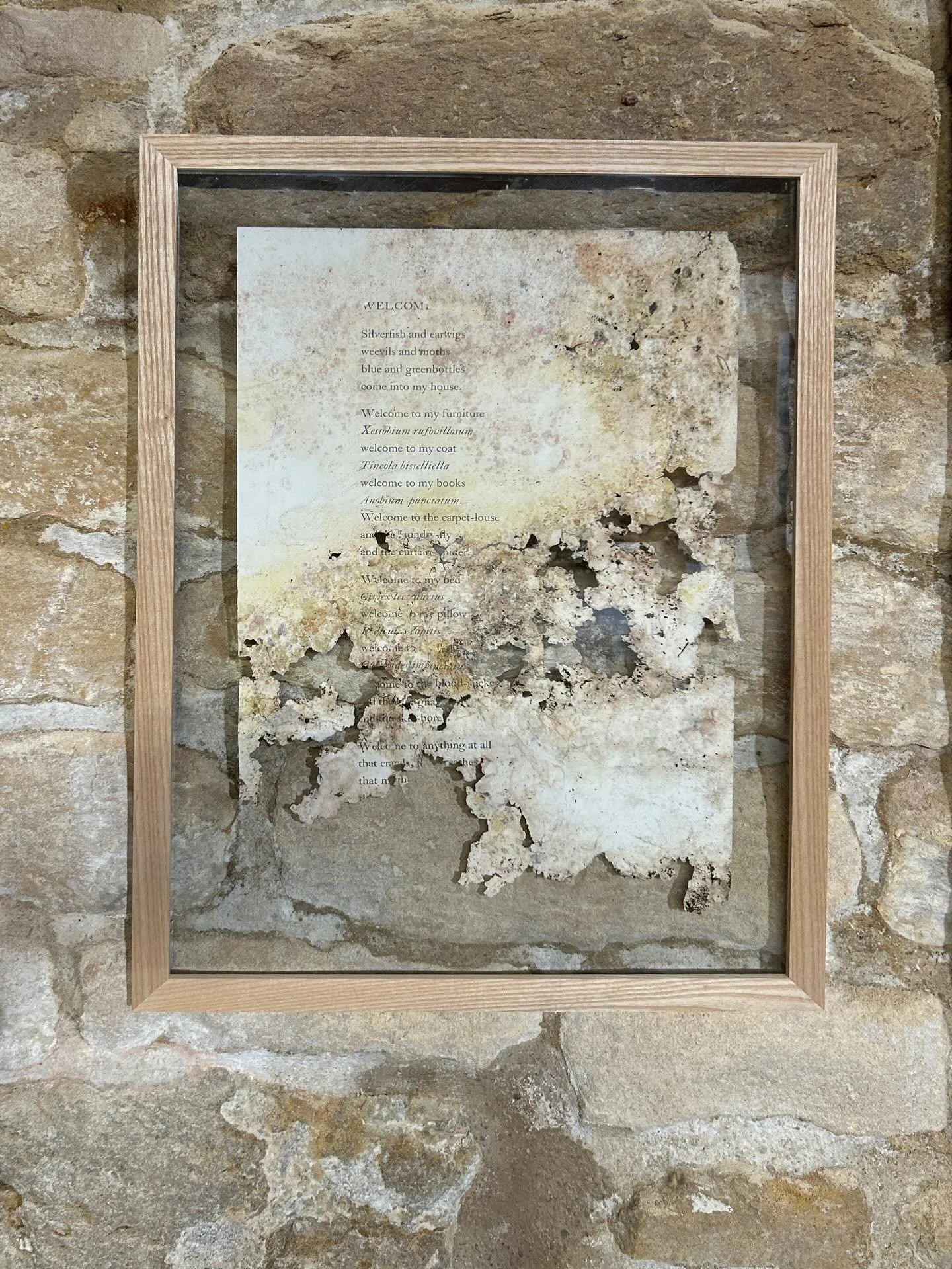 &lsquo;Welcome&rsquo; poem - there are three versions of this in different states of disintegration - on display at &lsquo;Margins&rsquo; at Ruskin Mill Gallery, Nailsworth until 22nd Dec. Thanks to the woodlice and to alchemist @semplepress for pape