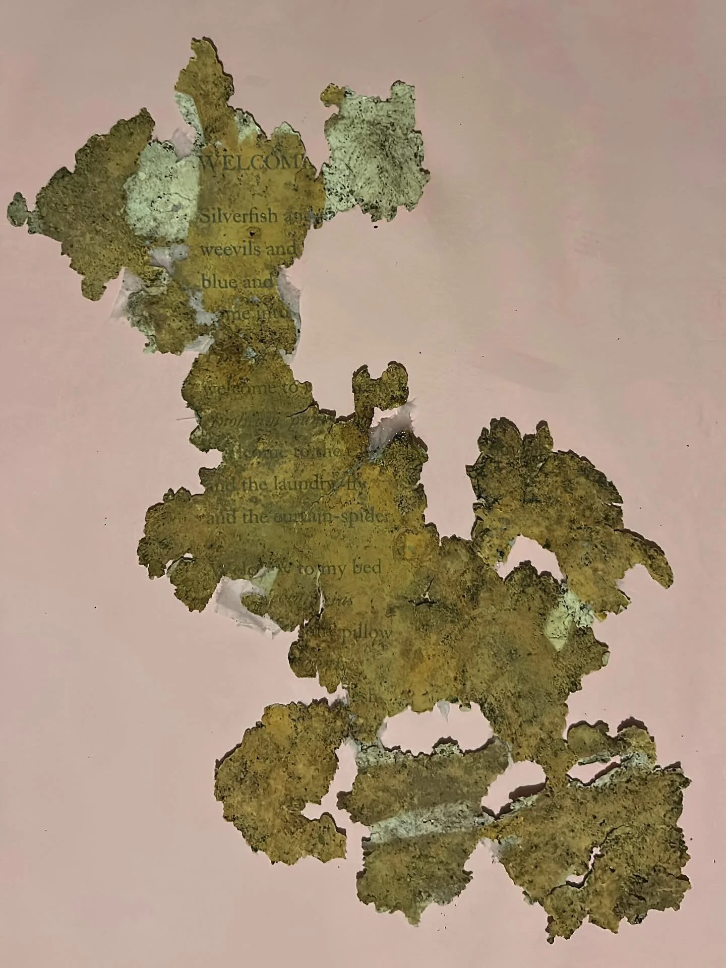 Three versions of the poem &lsquo;Welcome&rsquo; are on display as part of &lsquo;Margins&rsquo; at Ruskin Mill, Nailsworth GL6 0LA last day today - 22nd Dec. This is the 3rd, most invertebrate eaten version with interesting compost staining&hellip; 