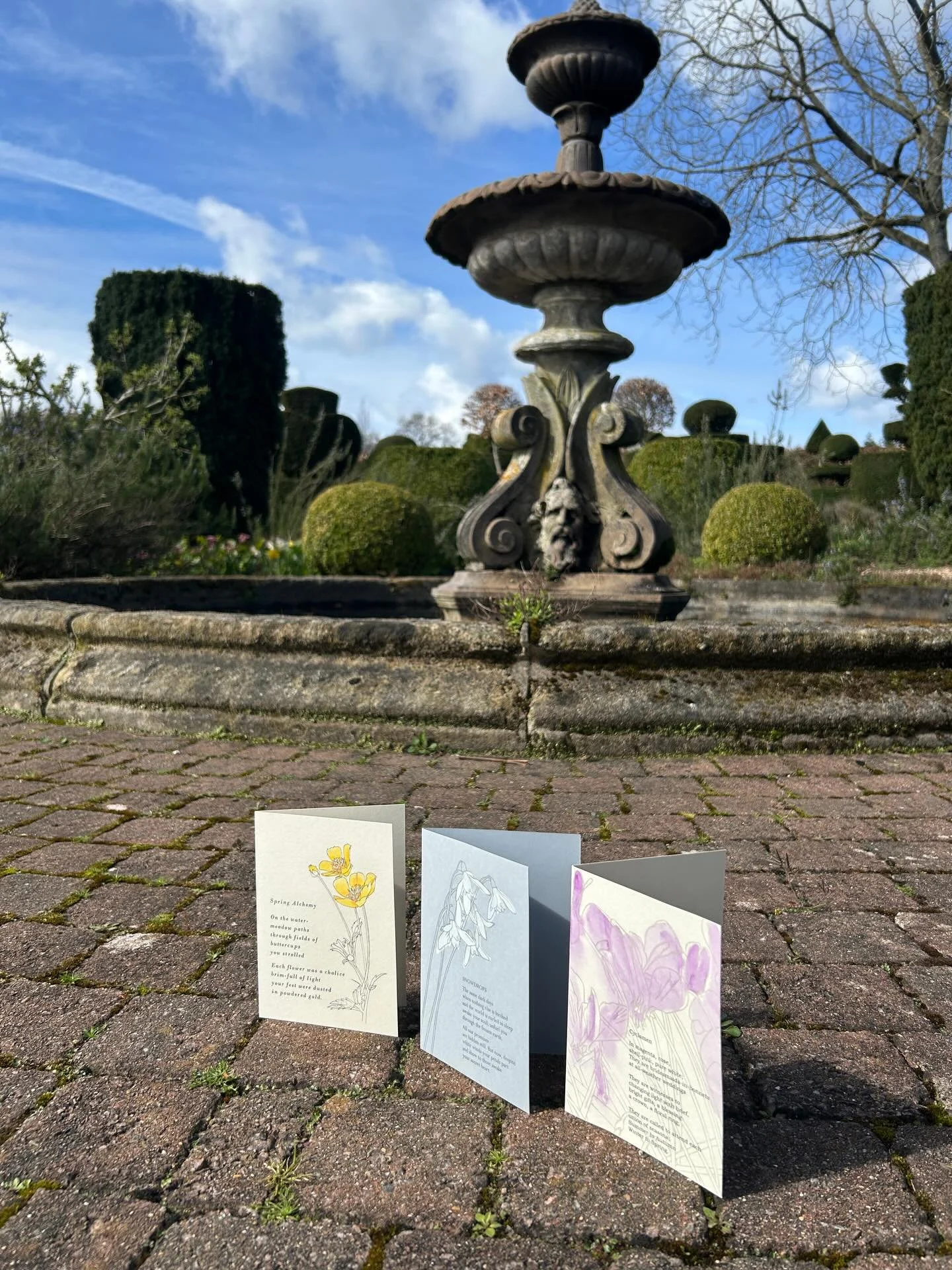 Some of the flower cards made with @clair_hodgson for @thelaskettgardens former home of Sir Roy Strong. Very sadly, the beautiful house and gardens are now closed and to be sold. Adieu. #thelaskett #letterpresscards #flowercards #herefordshire #butte