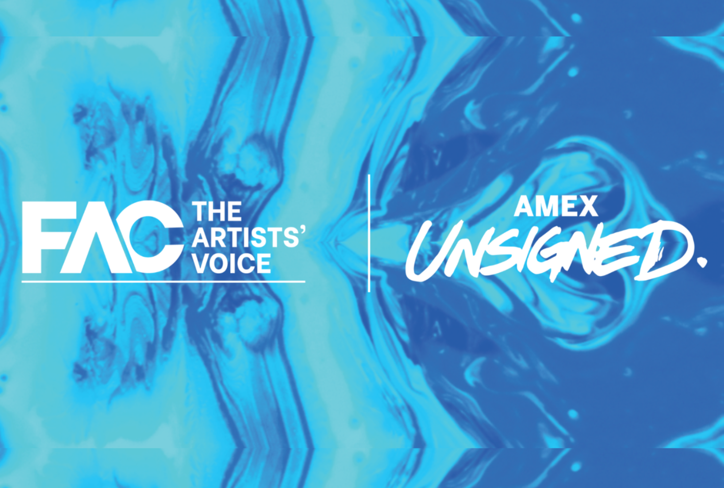Looking back at the FAC &amp; Amex Unsigned Mentor Day