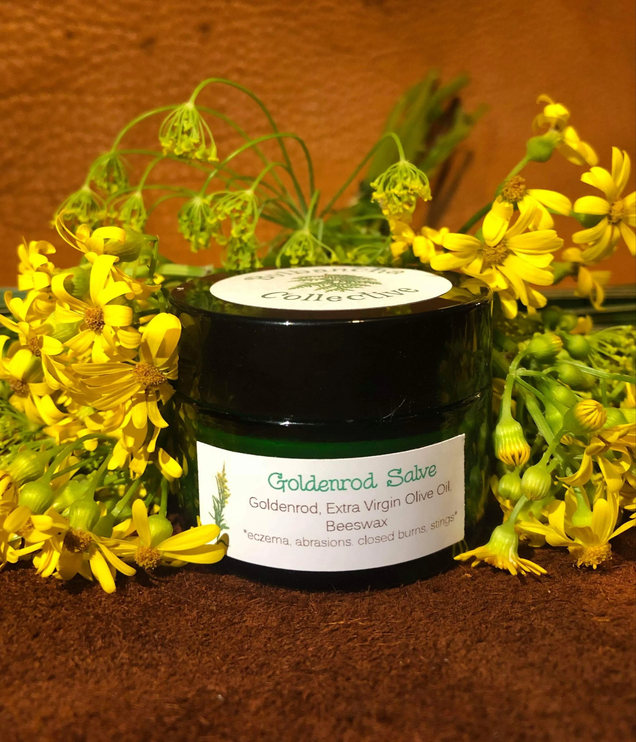 Goldenrod Salve, 1oz