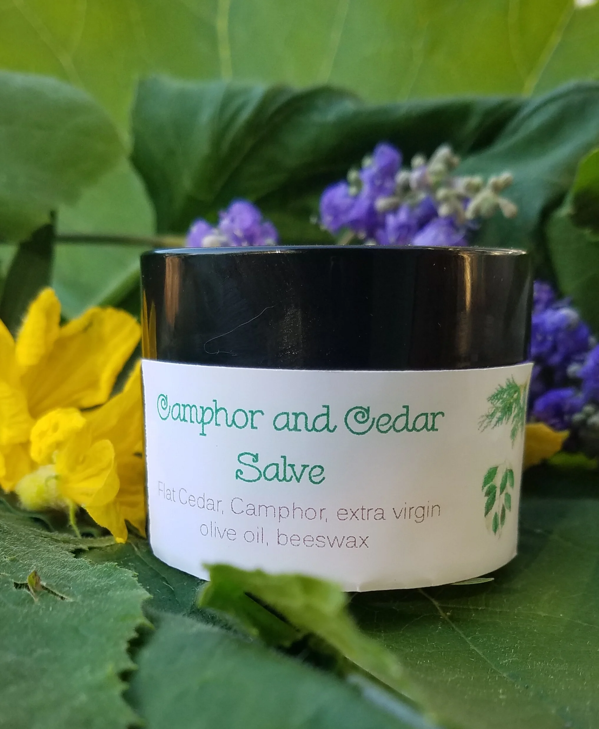 Cedar and Camphor Pain Relieving Salve