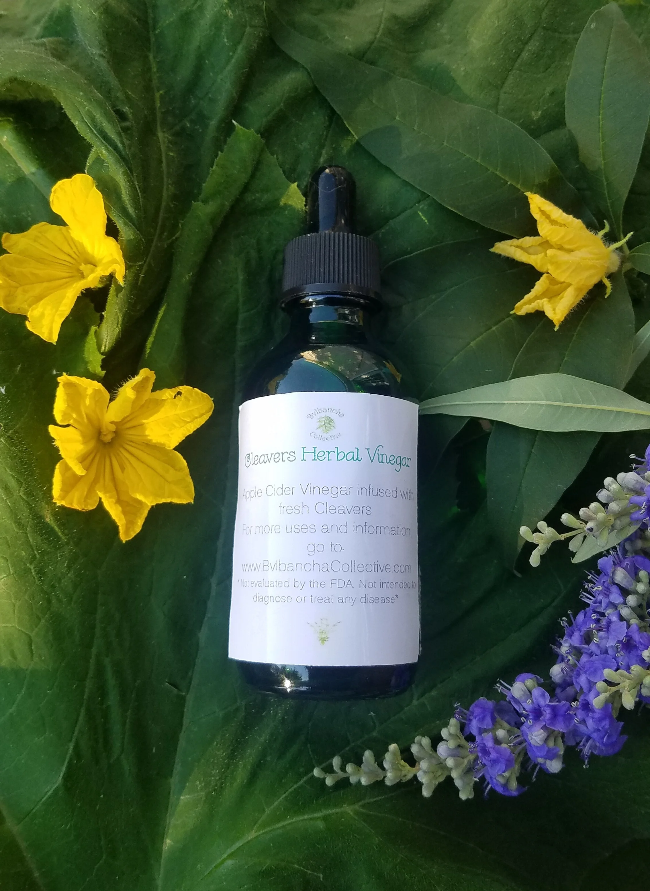 Cleavers Herbal Vinegar