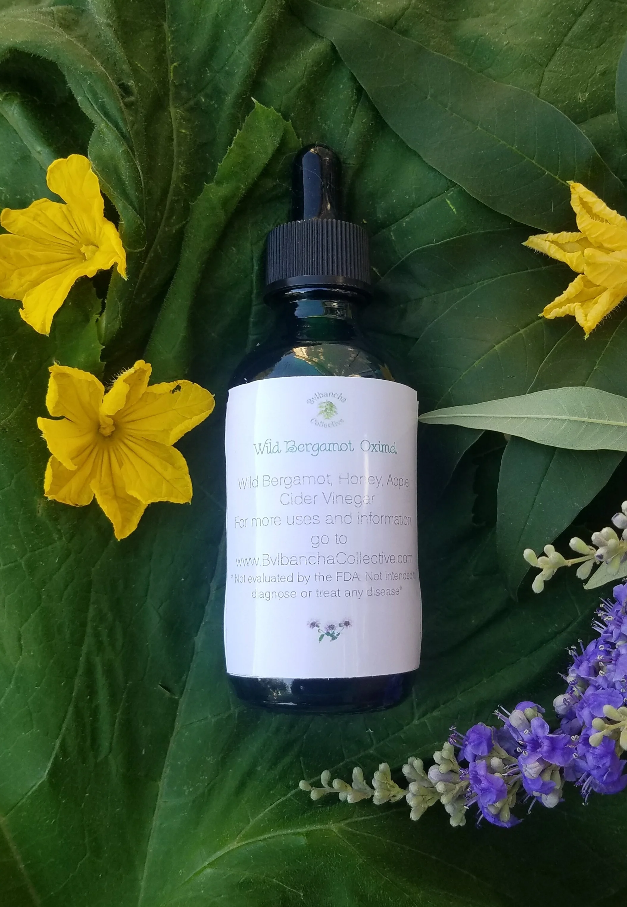 Wild Bergamot Oximel