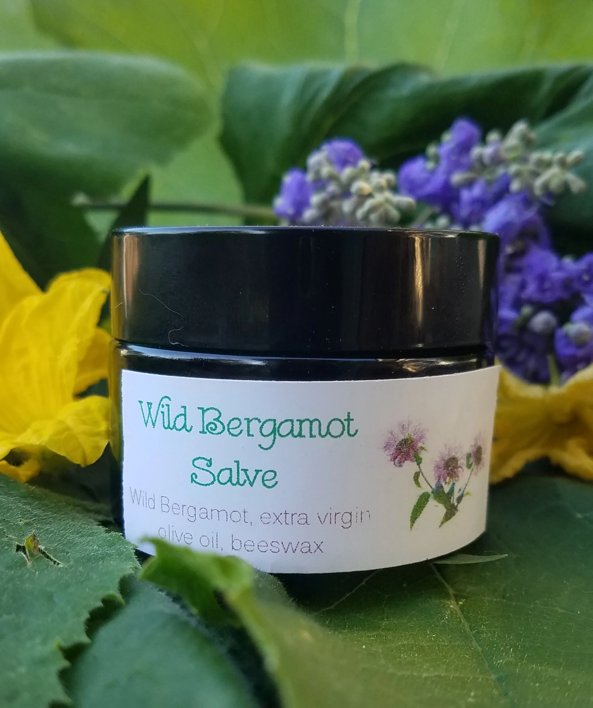 Wild Bergamot Salve