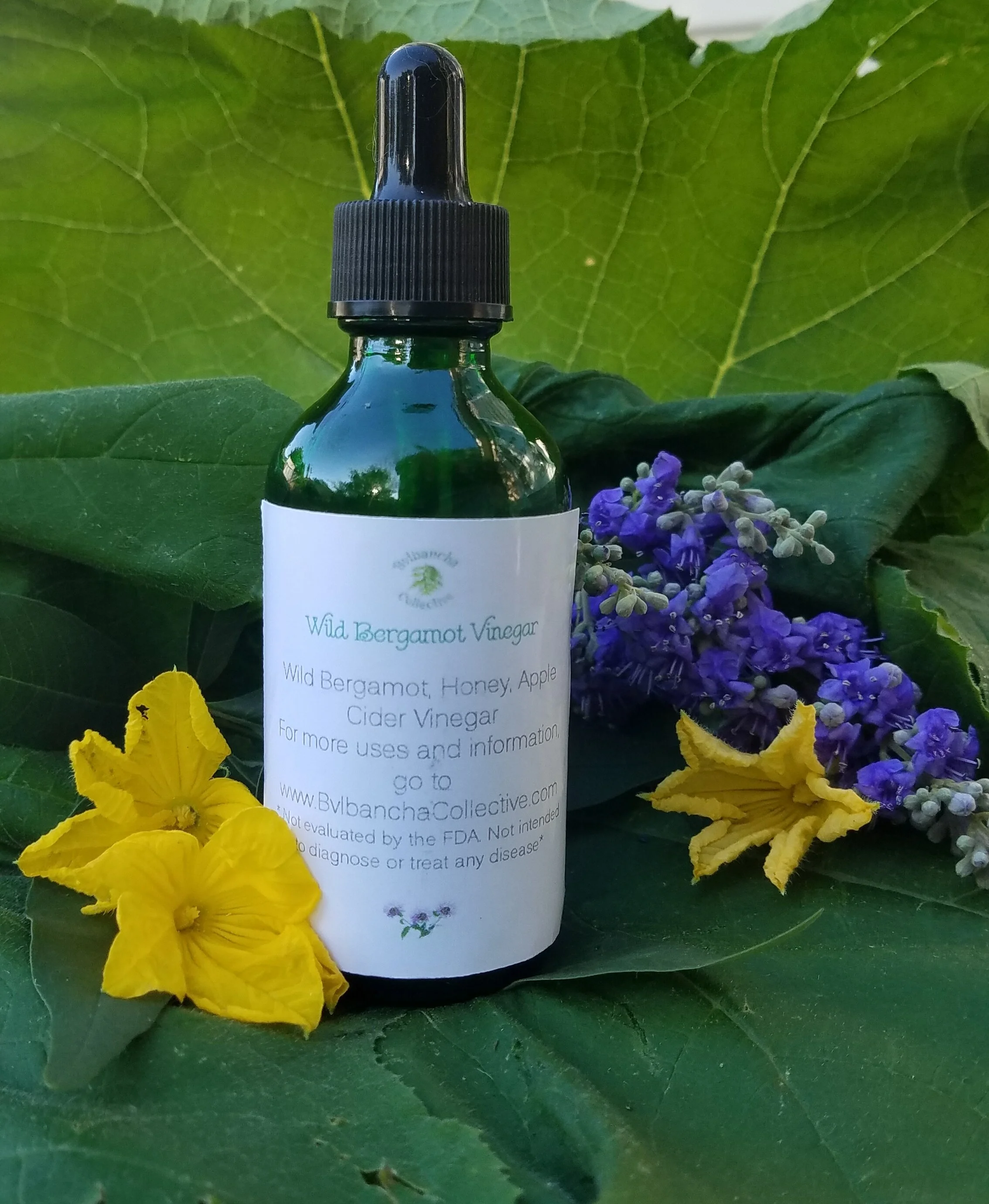 Wild Bergamot Herbal Vinegar