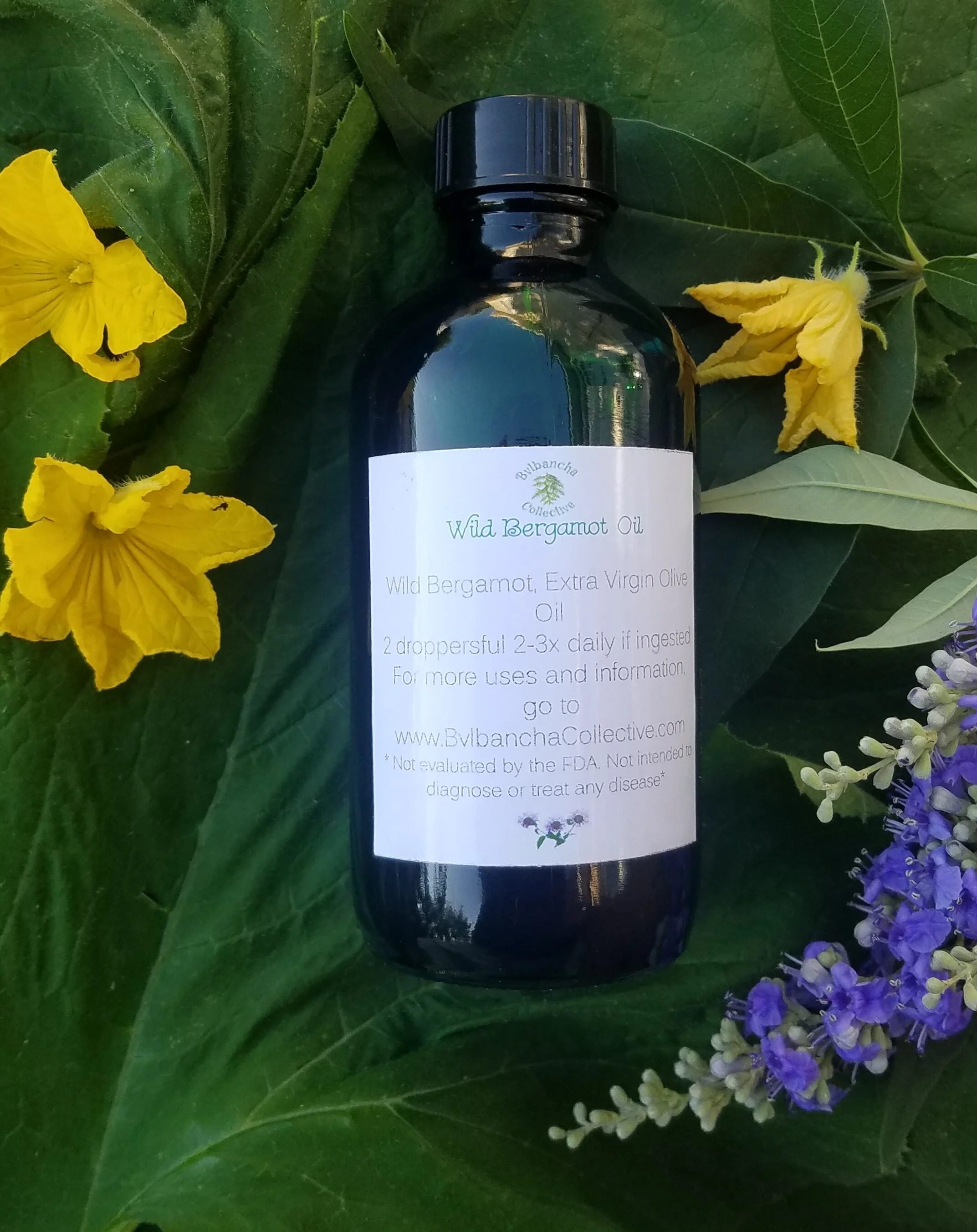 Wild Bergamot Oil