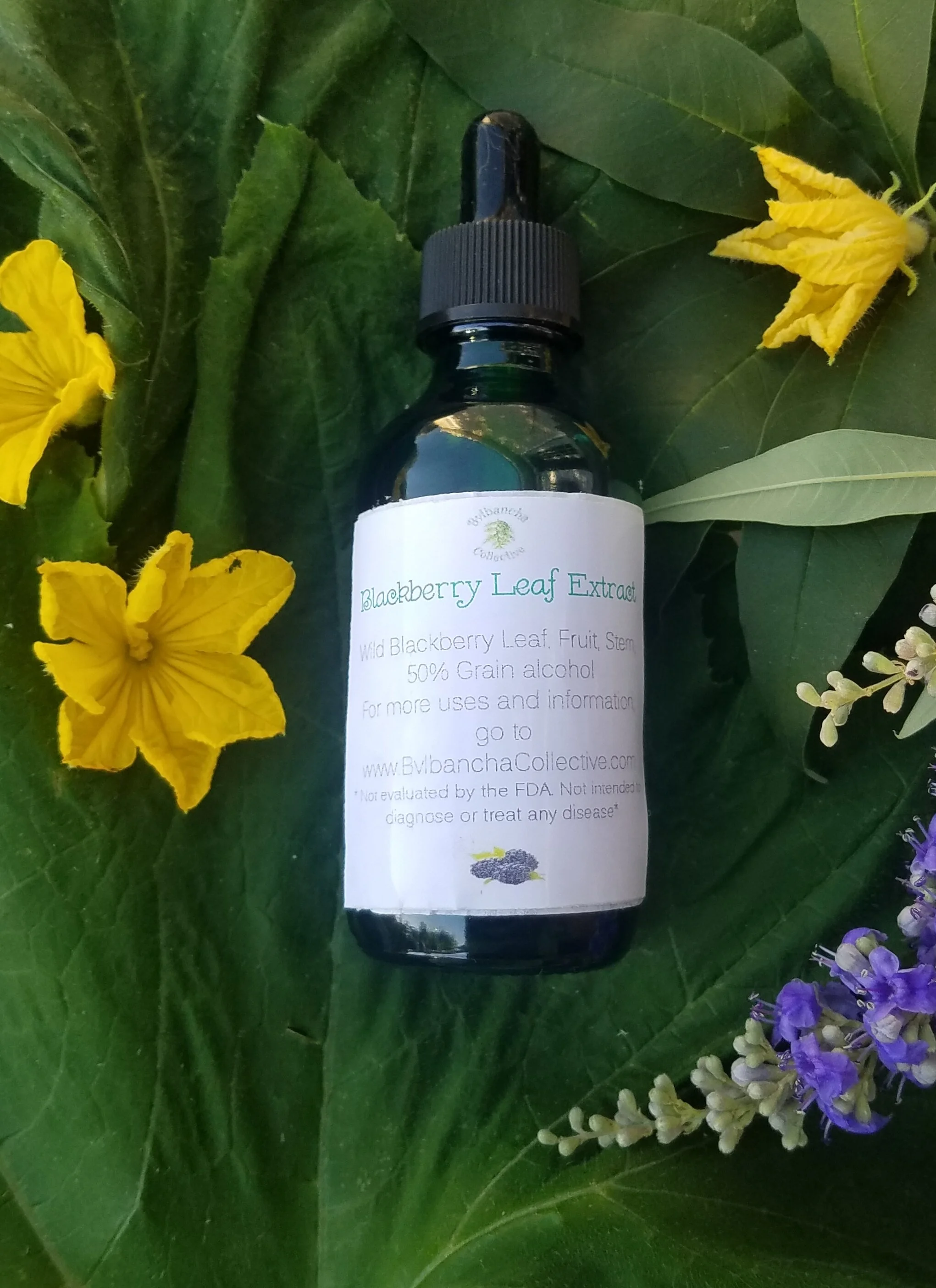 Blackberry Leaf Extract