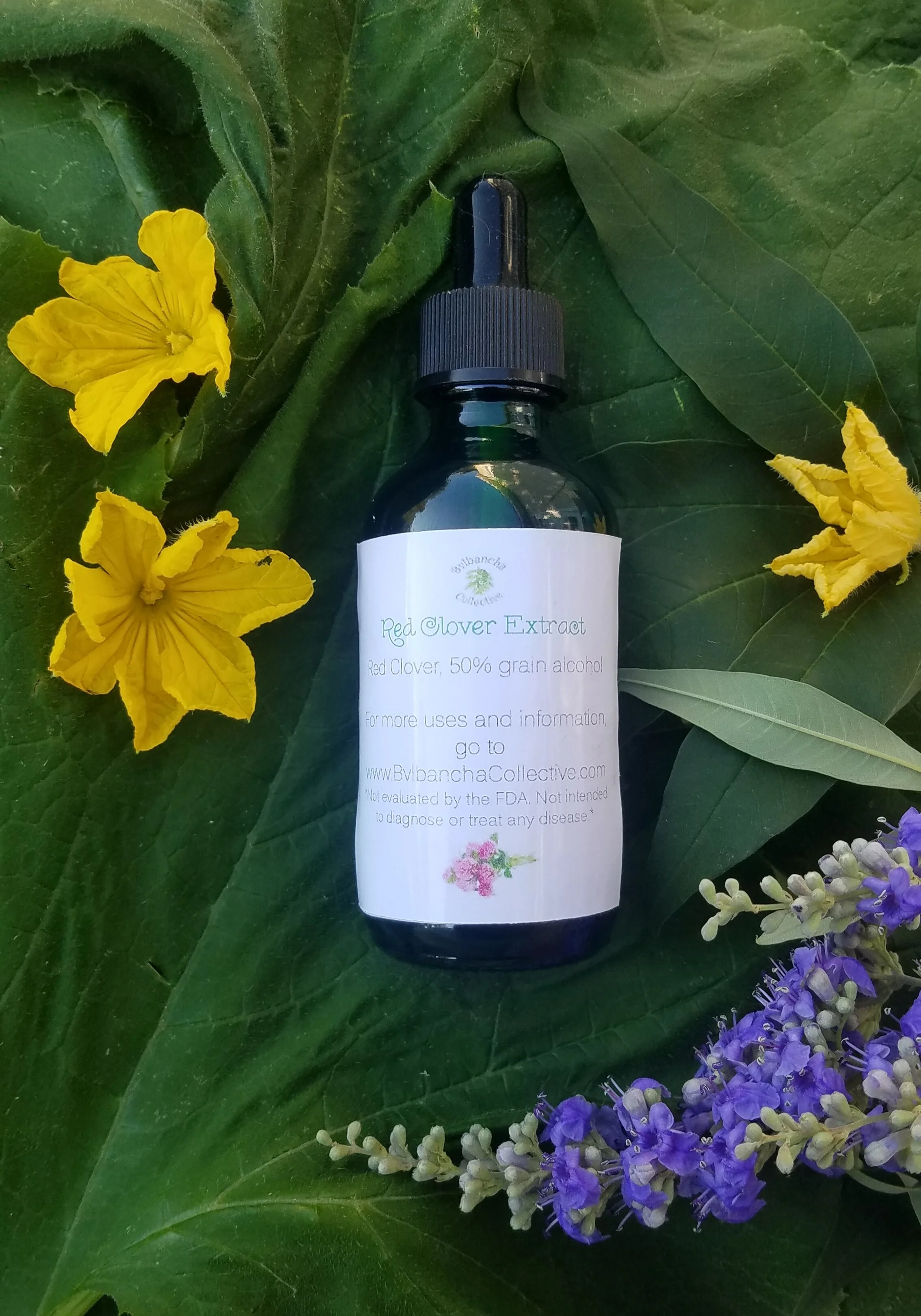 Red Clover Extract