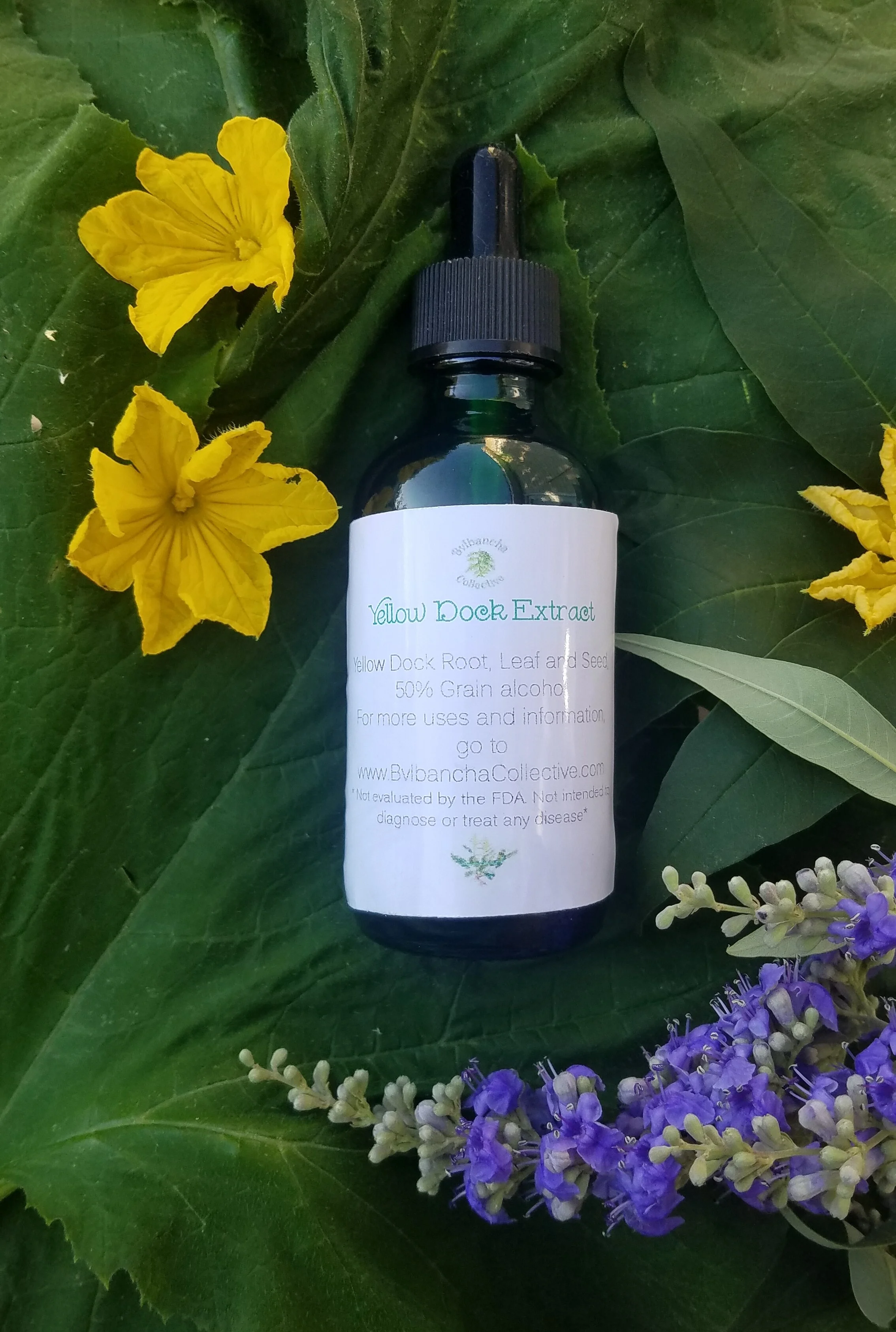 Yellow Dock Extract 
