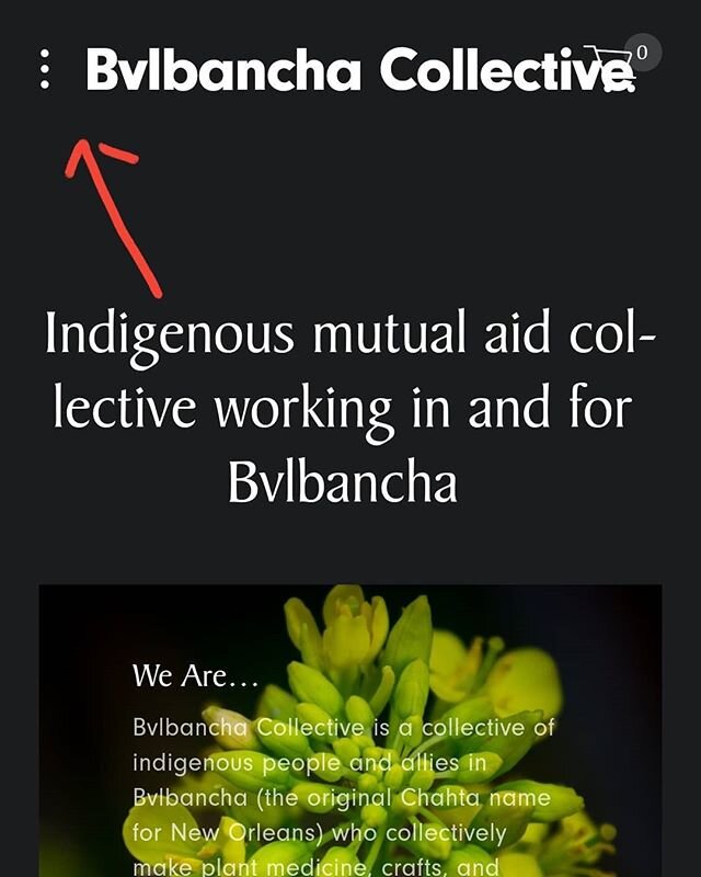 📣Attention 📣
.
We have added a new section to our website, a list of ways to help support Black, BIPOC, and LGBTQ  folx in Bvlbancha. (See photos for visual navigation, link in bio above)
.
This list is in no way exhaustive and will be a real-time,