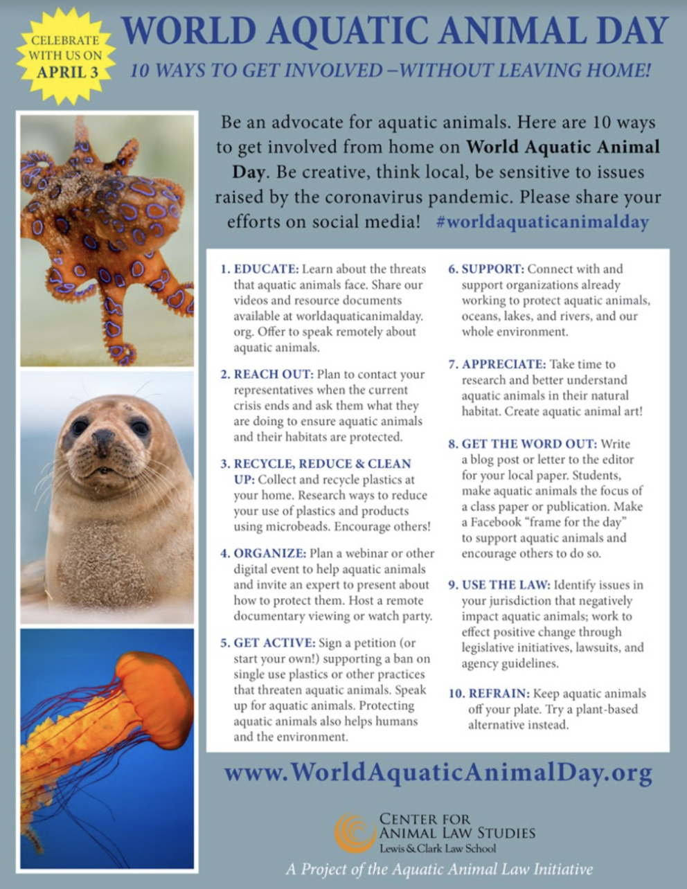 World Aquatic Animal Day — Aquatic Life Institute