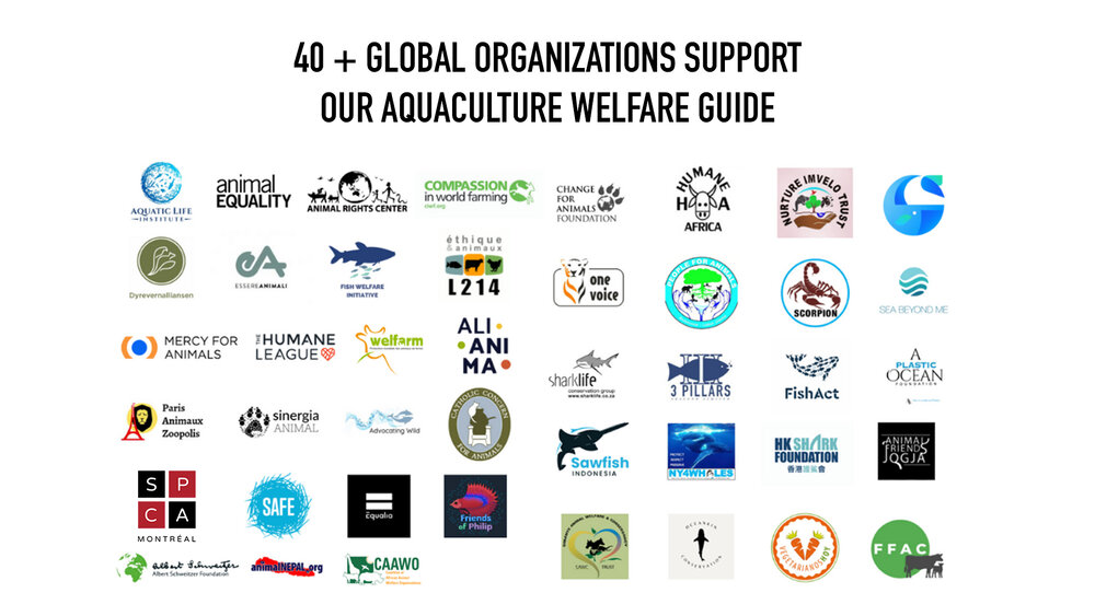 Animal Welfare Guide for Aquaculture Receives Support — Aquatic Life  Institute