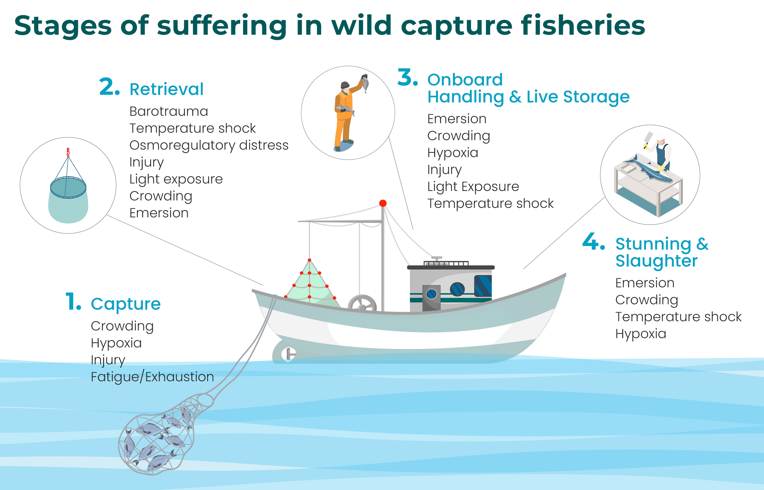 Improving Animal Welfare in the Fisheries Sector — Aquatic Life