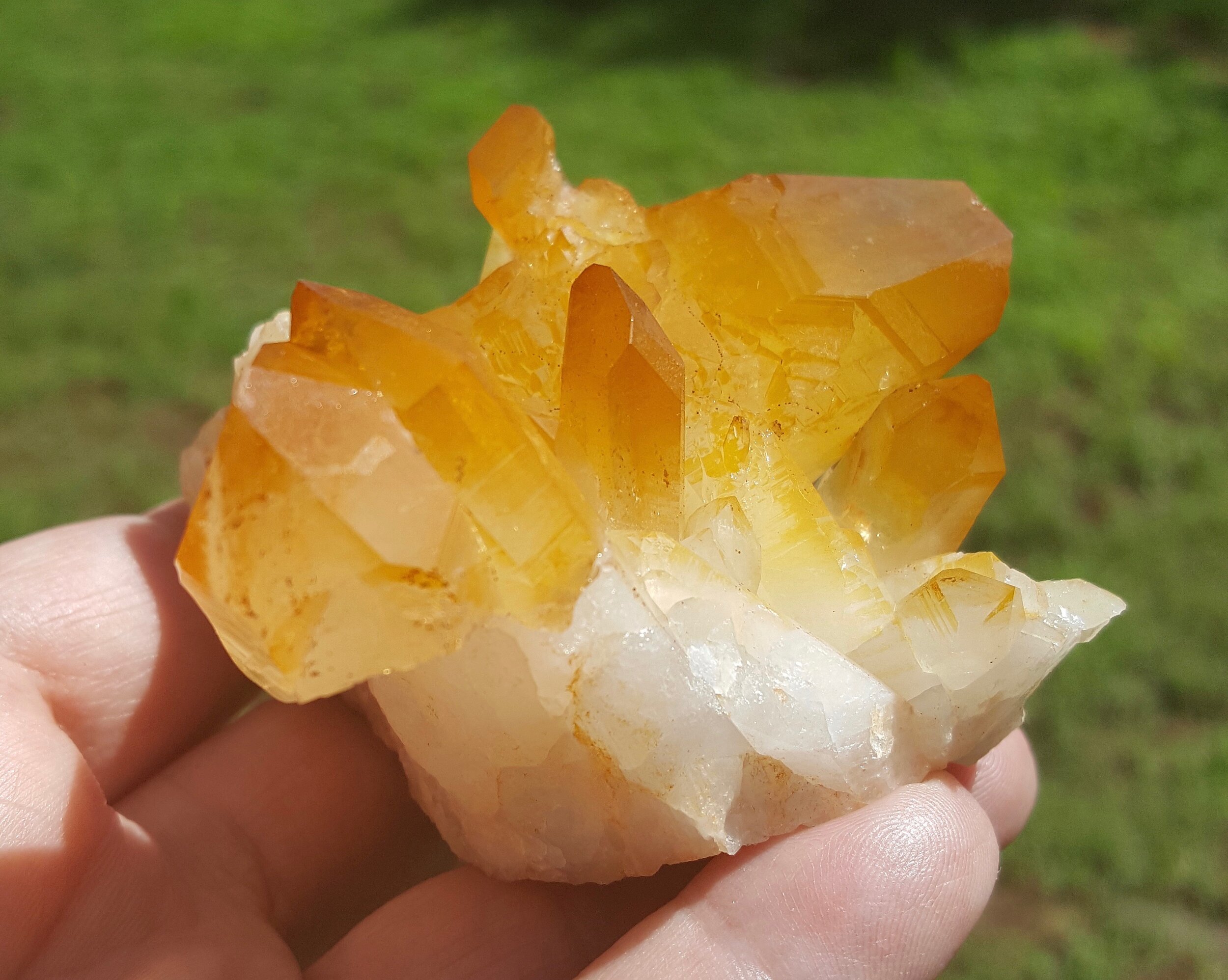 20180626_163507.jpg