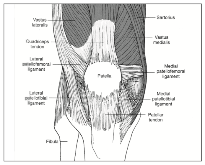 PATELLOFEMORAL PAIN SYNDROME – WHAT IS IT &amp; HOW TO PREVENT IT!