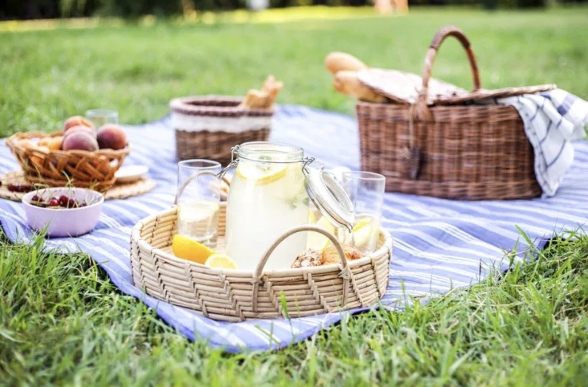 IWC Summer picnic