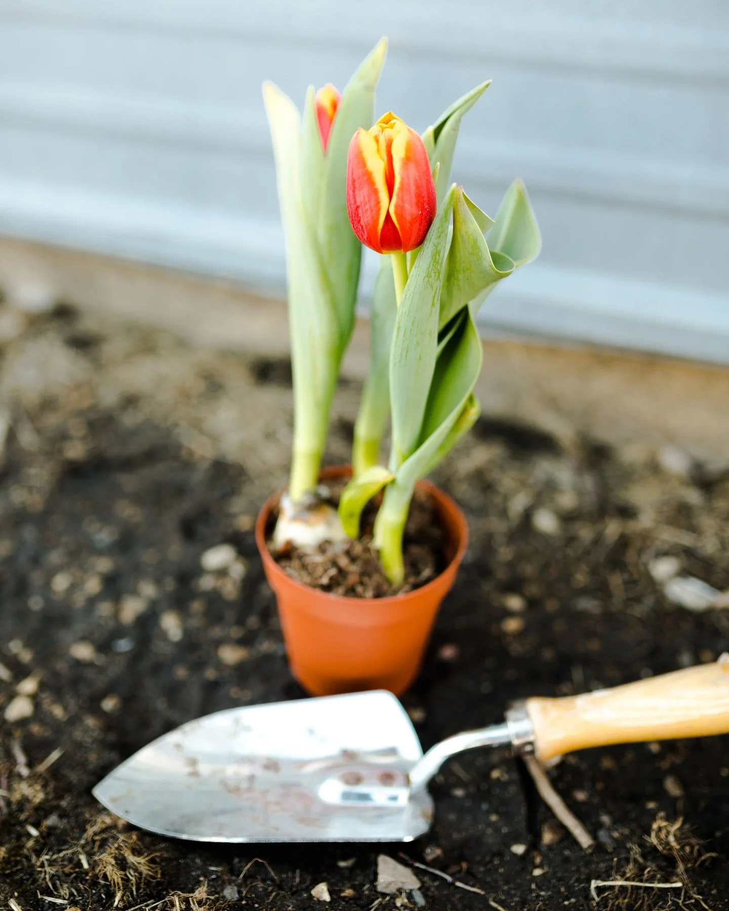 Most trades tell themselves, &ldquo;I&rsquo;ll focus on marketing when work slows down.&rdquo;

That&rsquo;s like saying, &ldquo;I&rsquo;ll start watering the garden once it&rsquo;s dry.&rdquo;

When you only market in slow months, you never build th