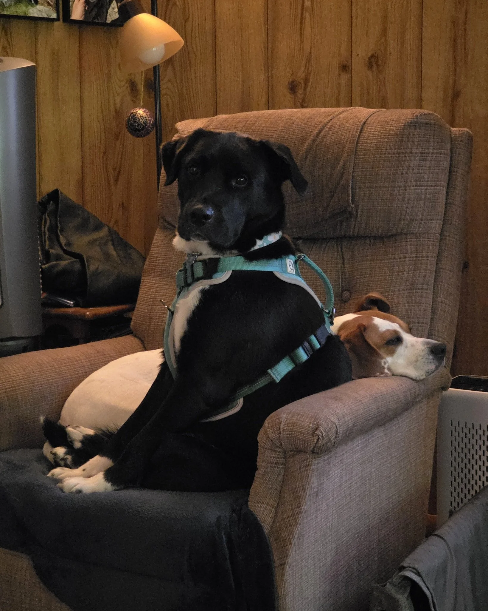 &quot;'personal space' is not one of my strong points.&quot; - Bug