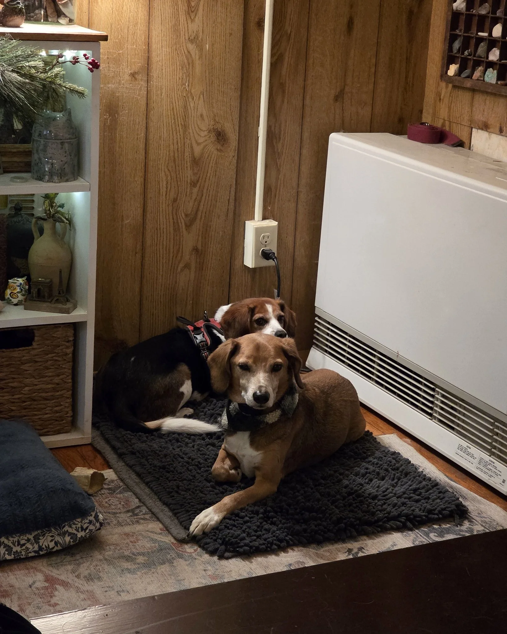 Daily prayer with their beloved... The heater.