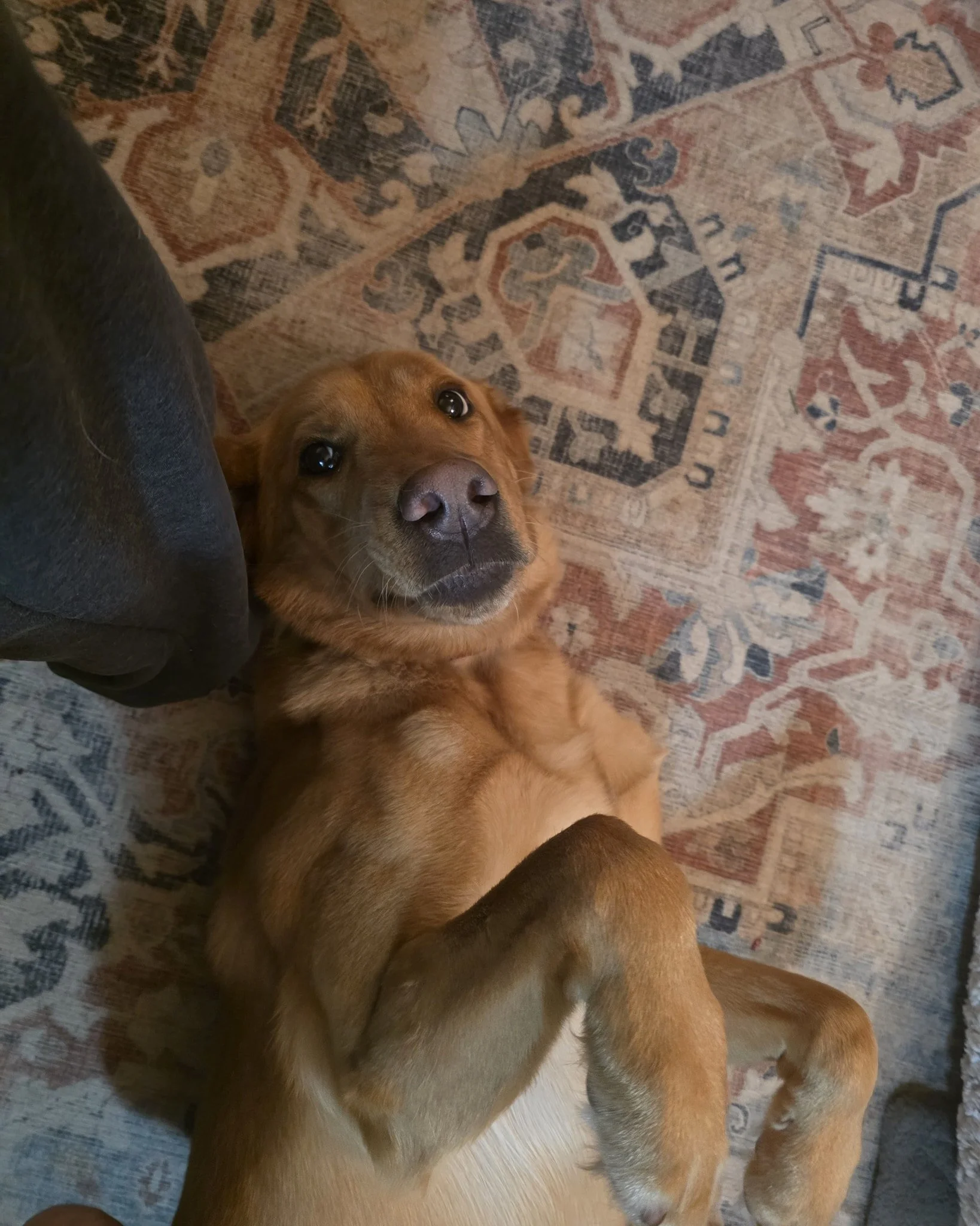 Who's the best boy? Kenny is the best boy!