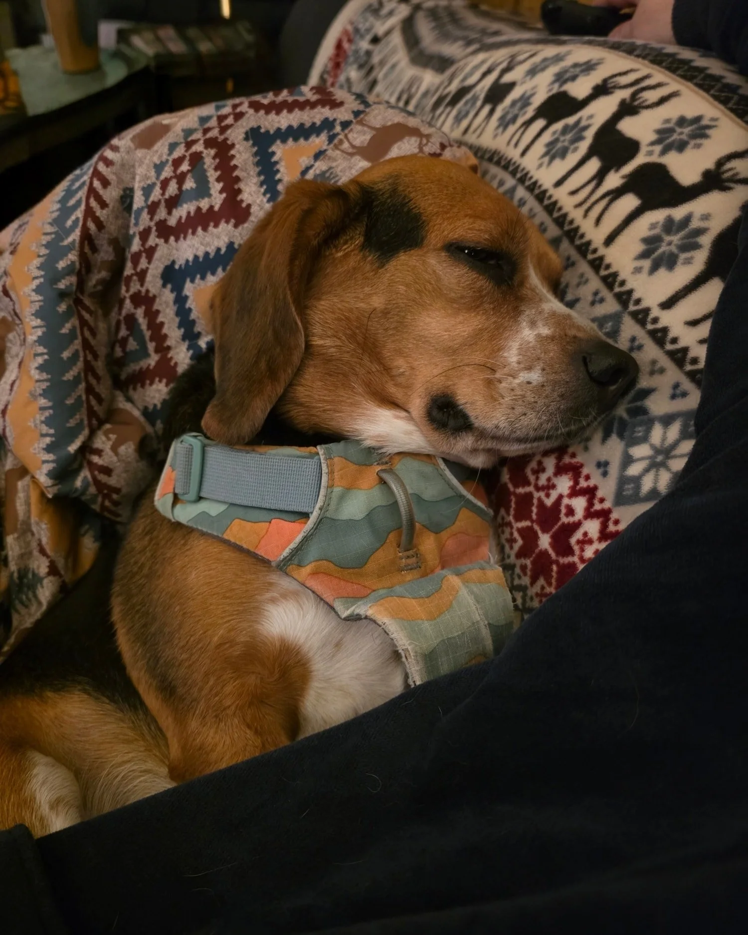 It's hard being a Hudson...