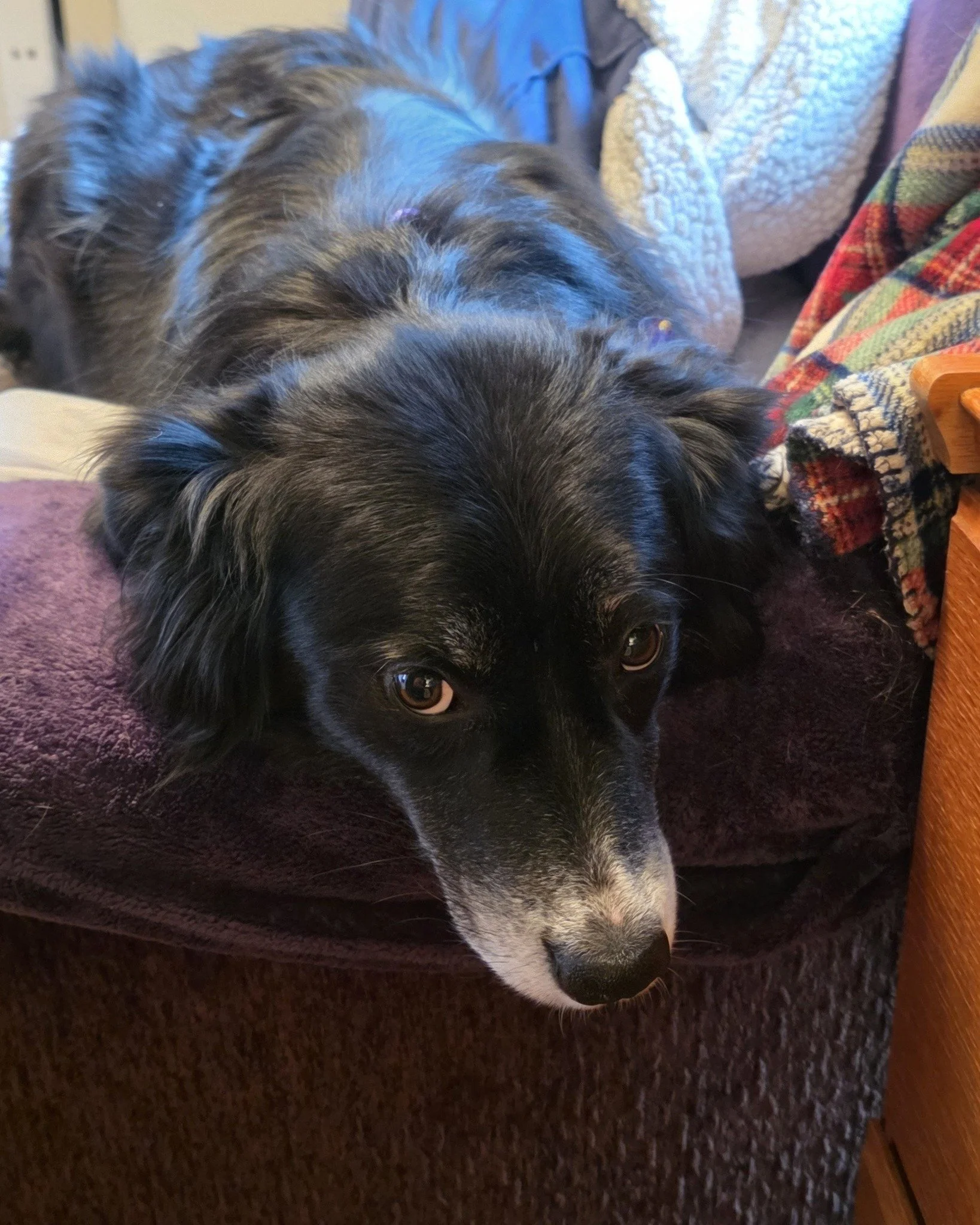 Yes? What can I do for you?