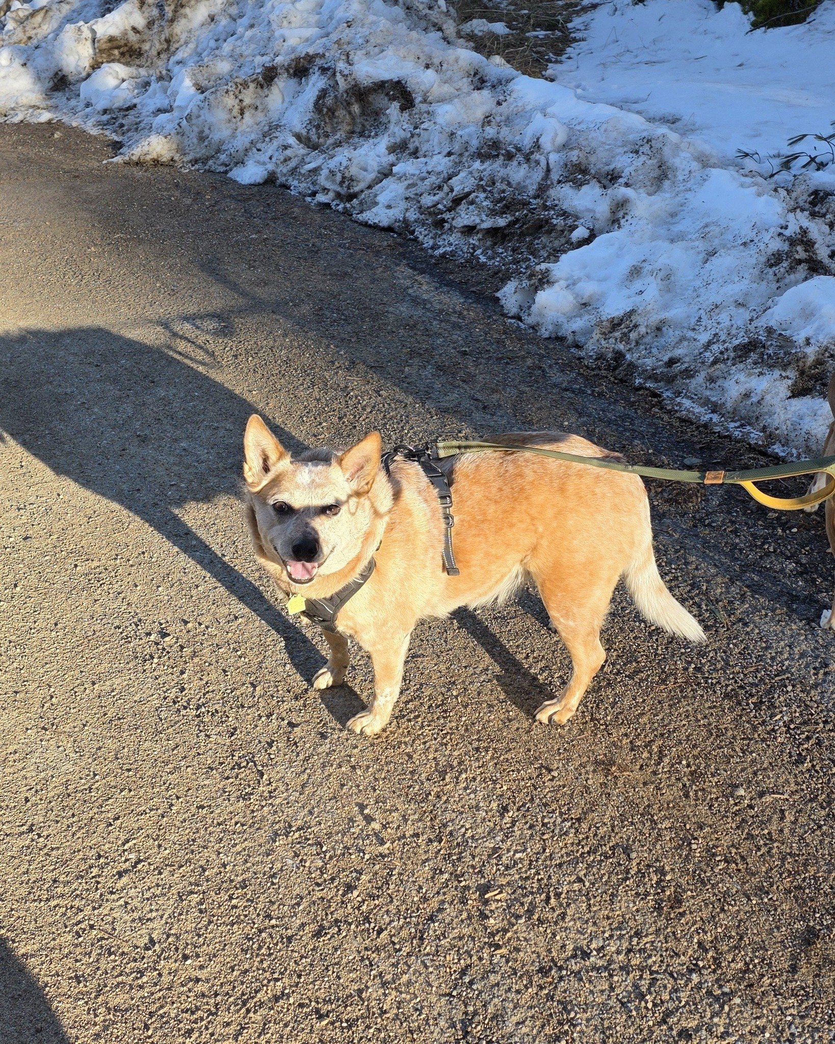 Less pictures, more walking please