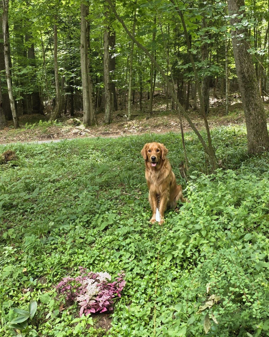 Pretty boy Gus