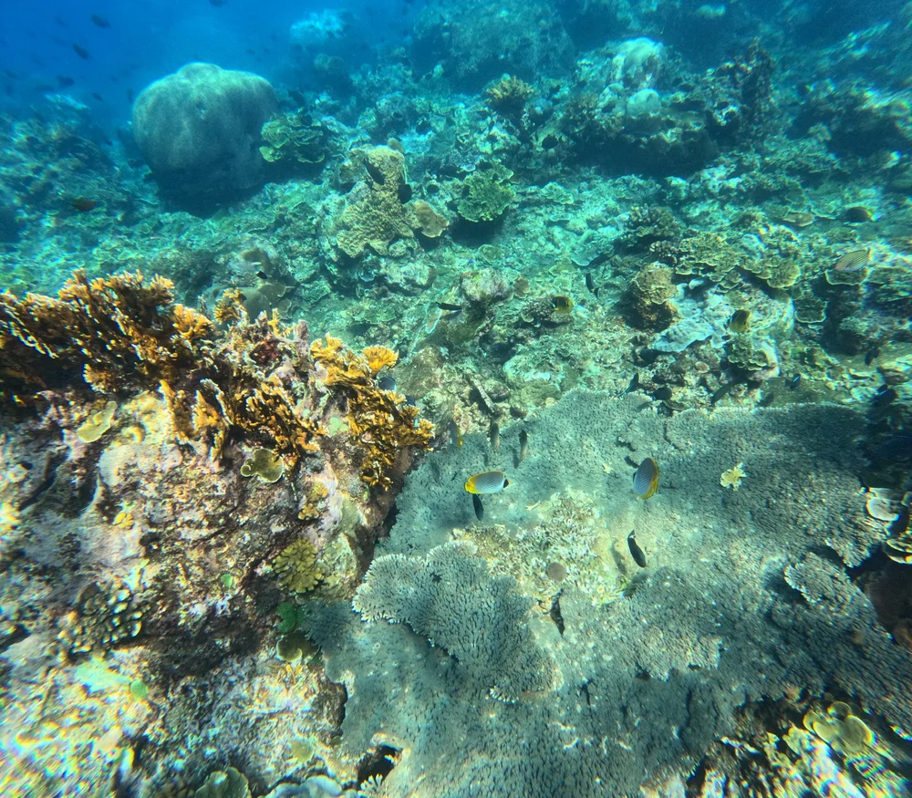 Copy of GPTempDownload 5.JPG