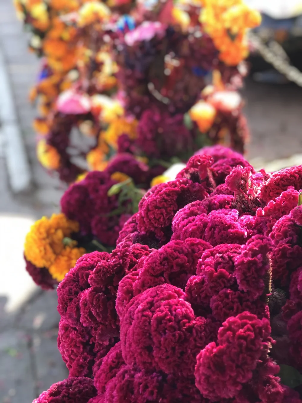 IMG_7408San Miguel.JPEG