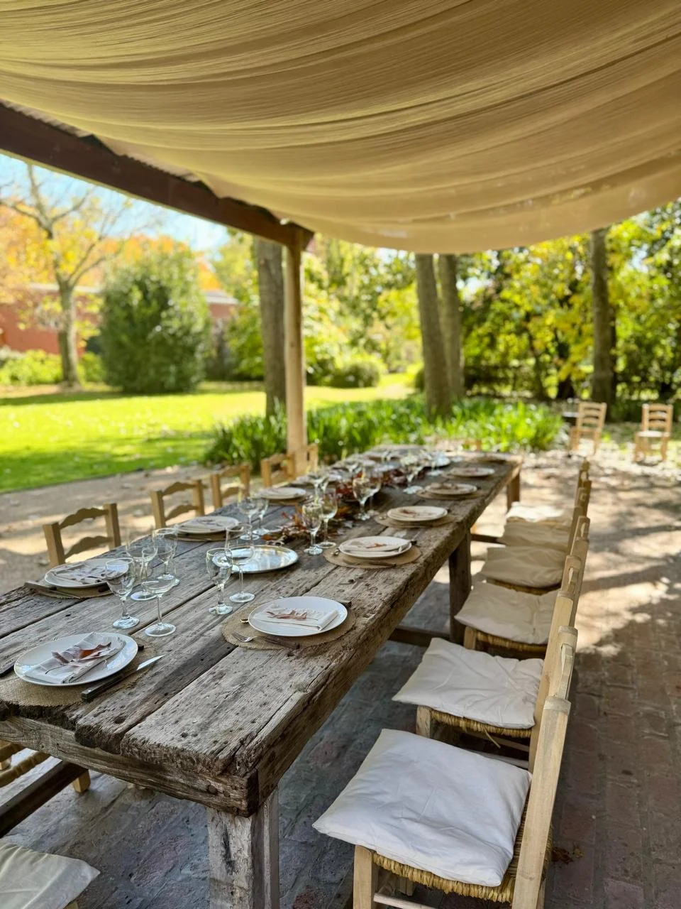 WhatsApp Image 2025-05-01 at 13.13.27 (3).jpeg