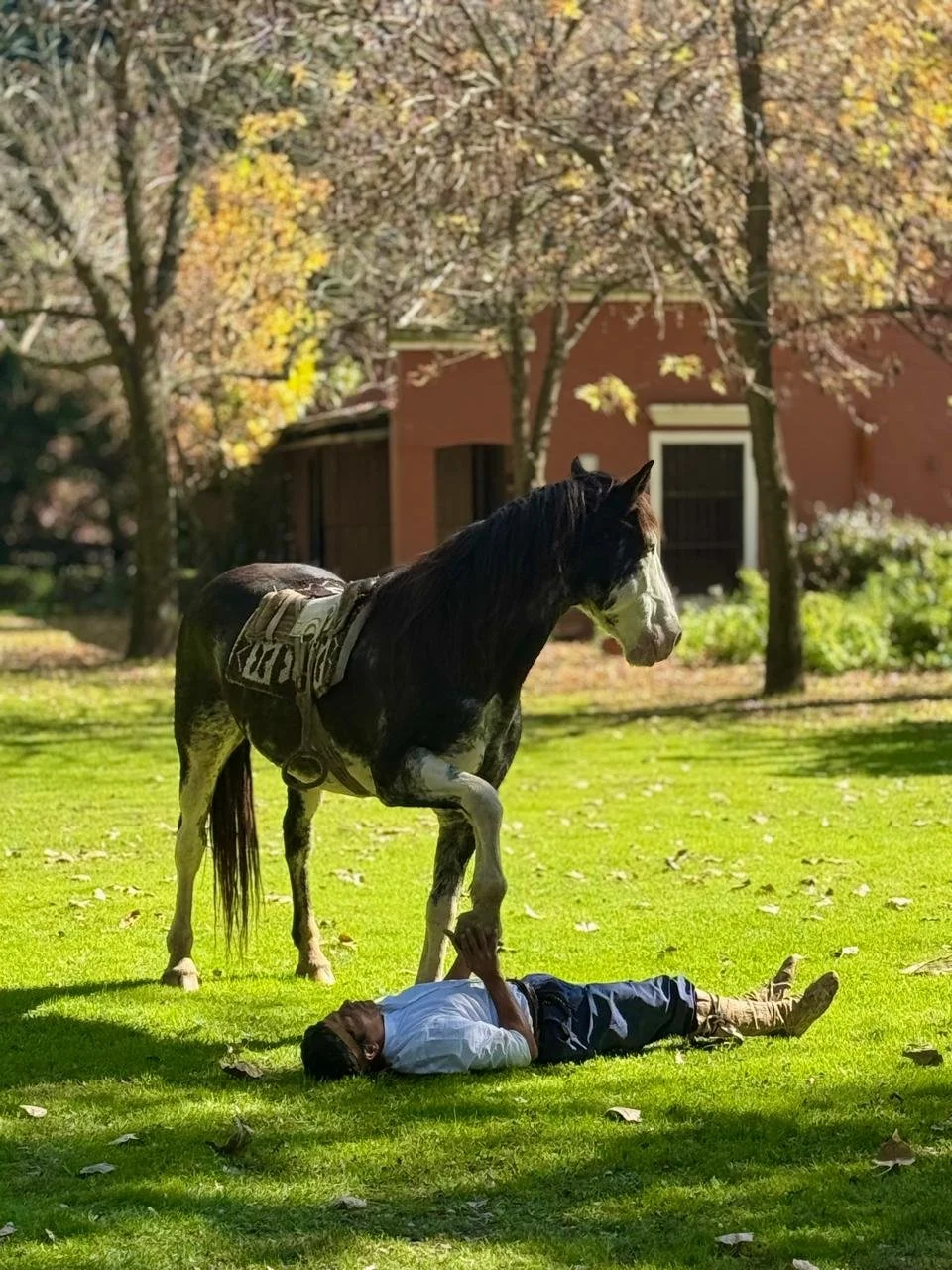 WhatsApp Image 2025-05-01 at 13.13.28 (2).jpeg