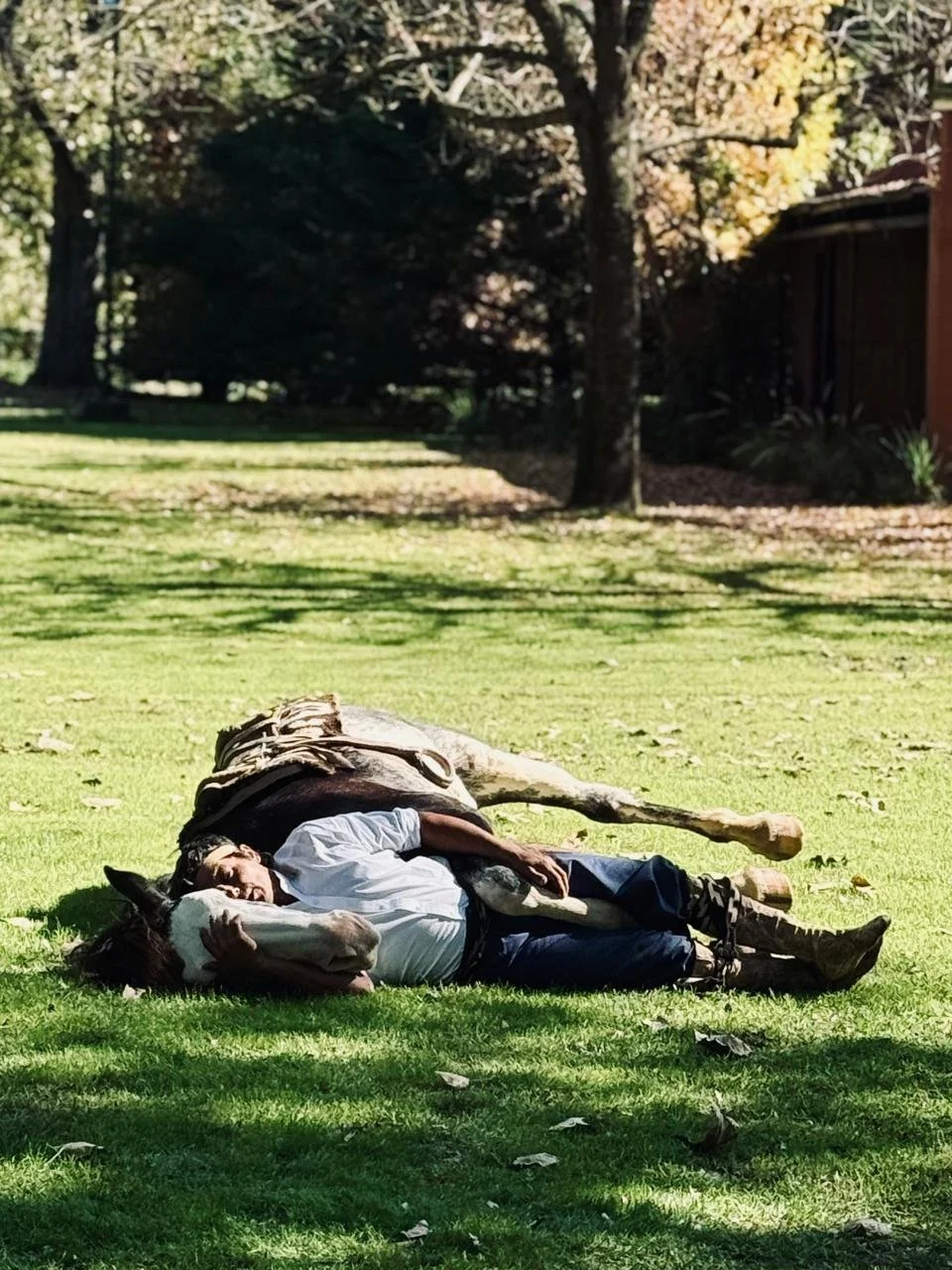 WhatsApp Image 2025-05-01 at 13.13.28 (3).jpeg