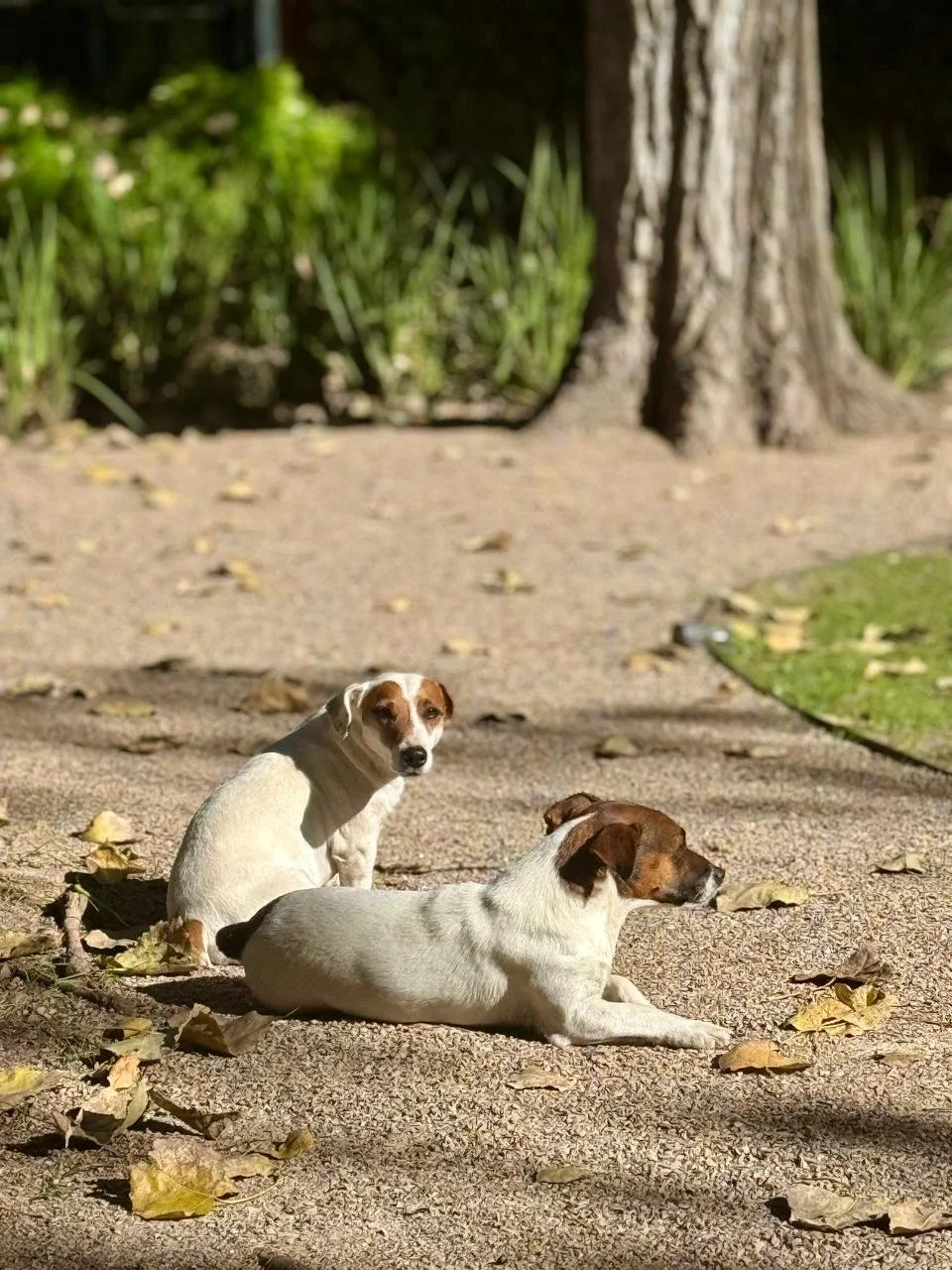 WhatsApp Image 2025-05-01 at 13.13.29 (2).jpeg