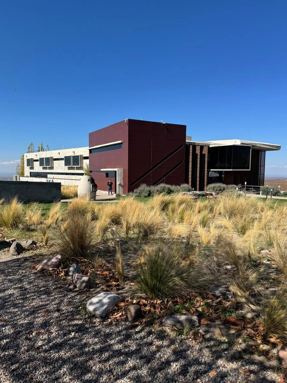 WhatsApp Image 2025-05-13 at 14.20.19.jpeg