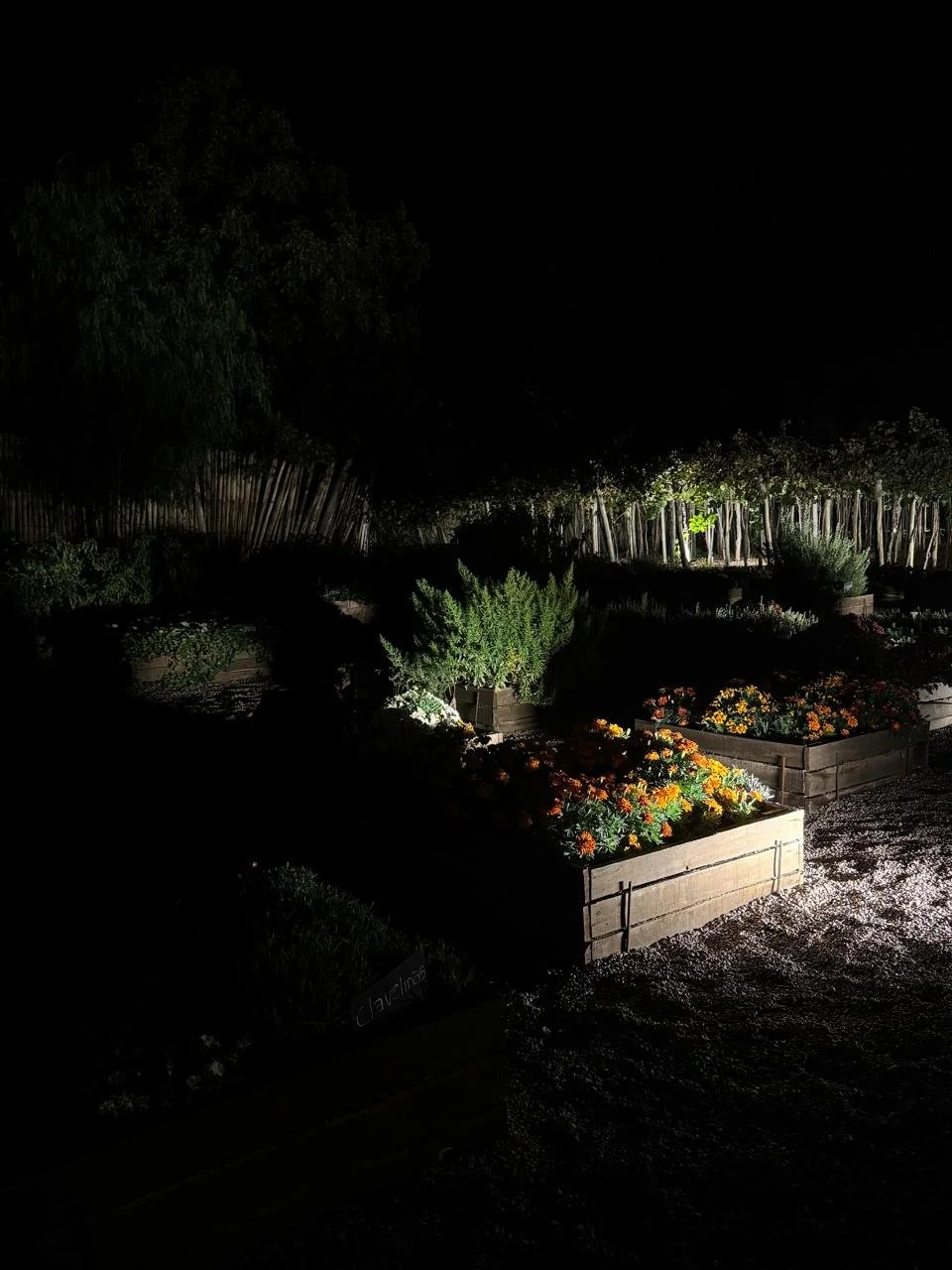 WhatsApp Image 2025-05-13 at 14.28.54 (4).jpeg