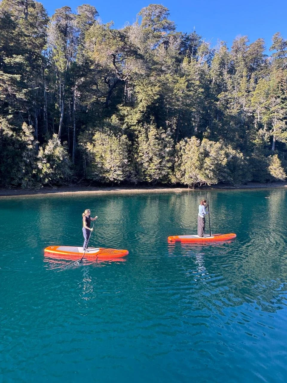 WhatsApp Image 2025-05-21 at 14.55.22.jpeg