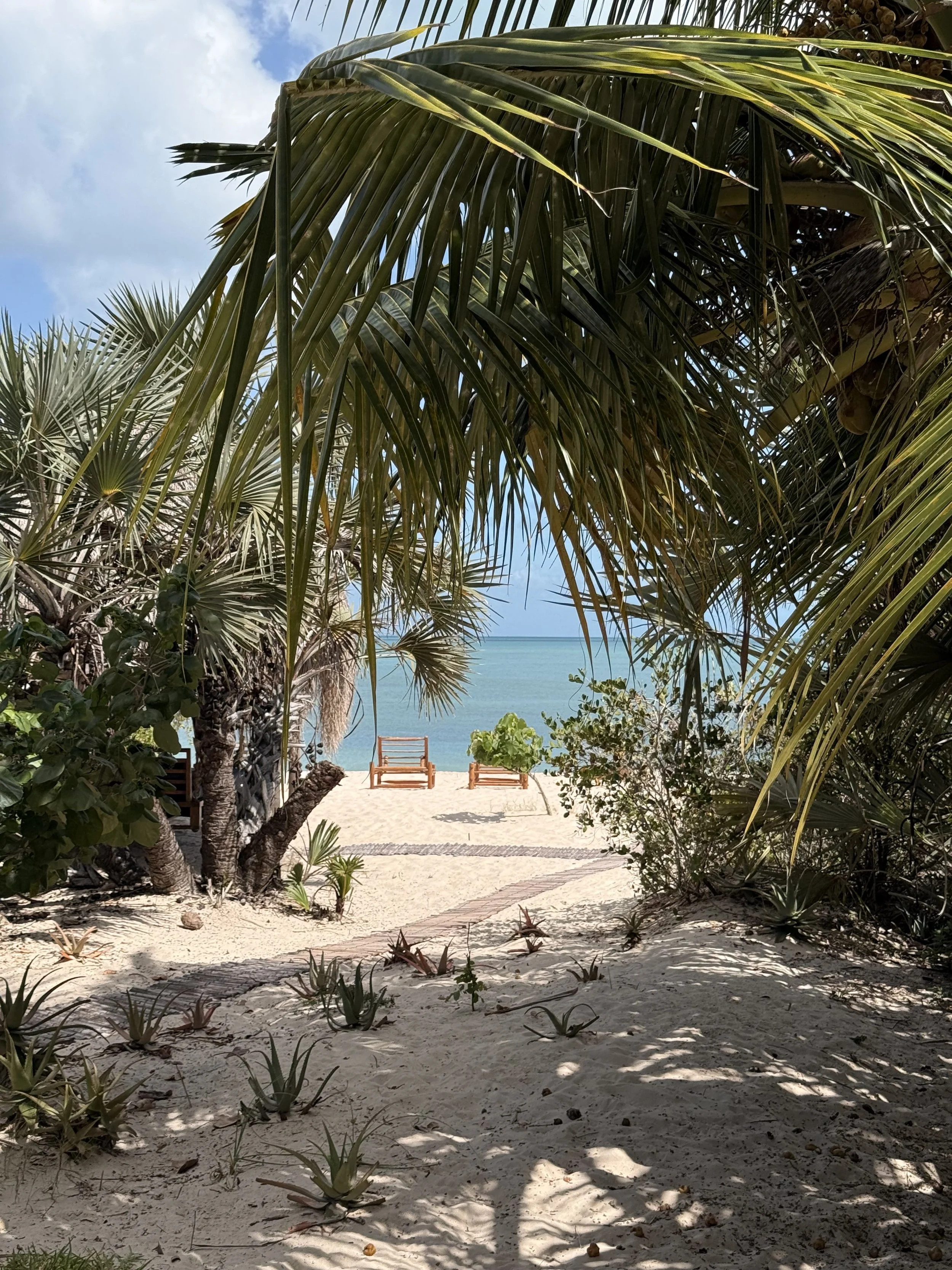 IMG_9469.jpg
