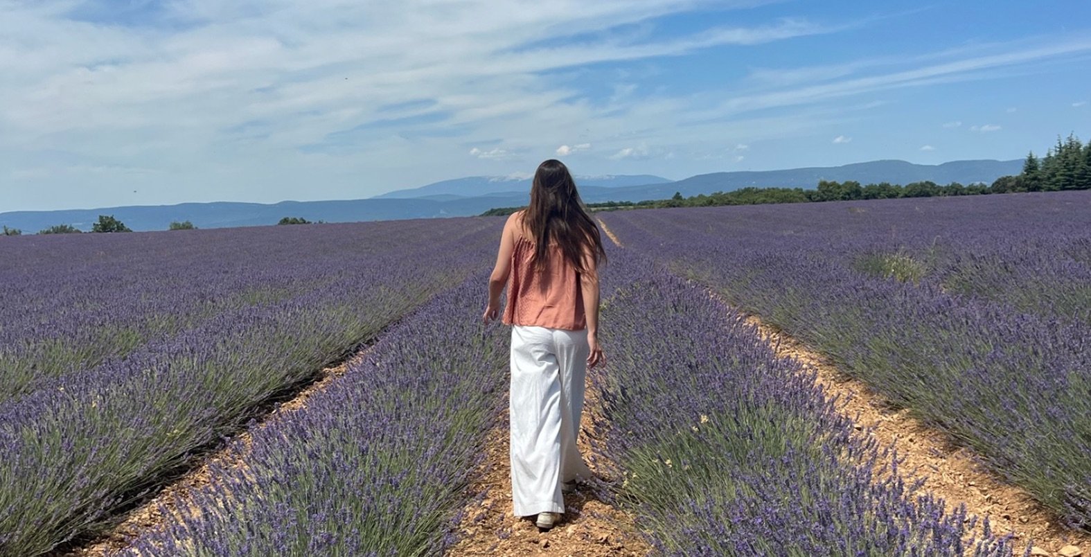 Woman walking through rows of lavender fields in Provence with mountains in the distance