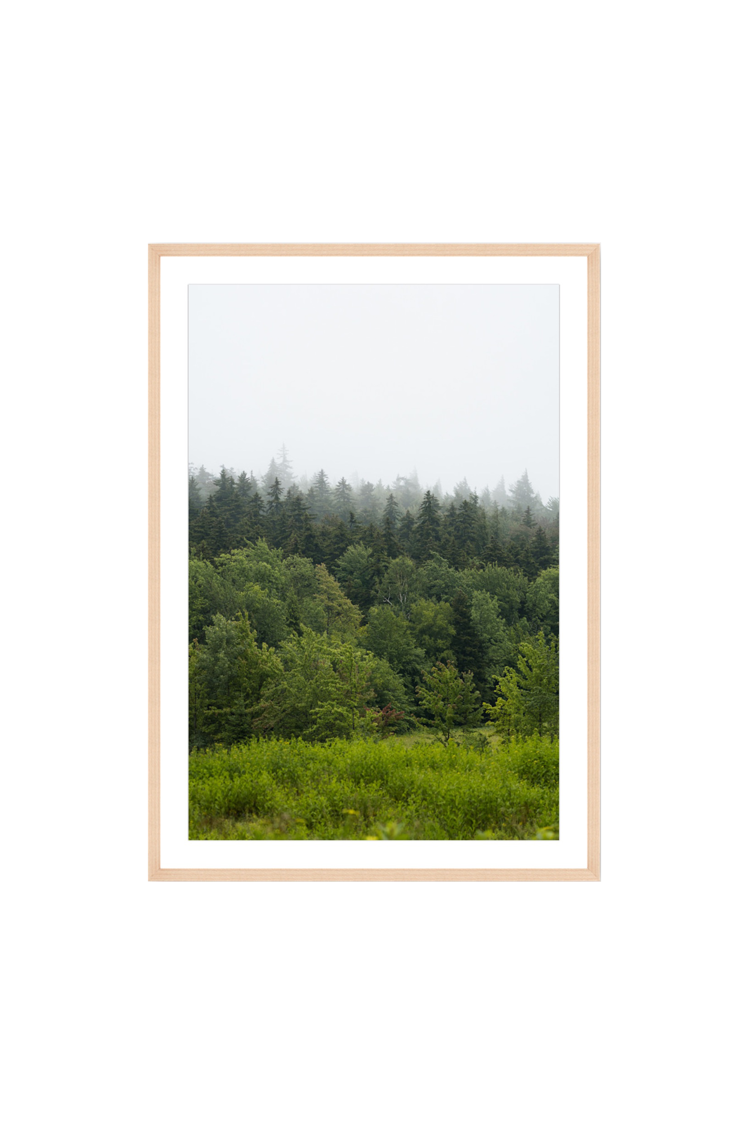 Above the Treetops_FRAMED.png