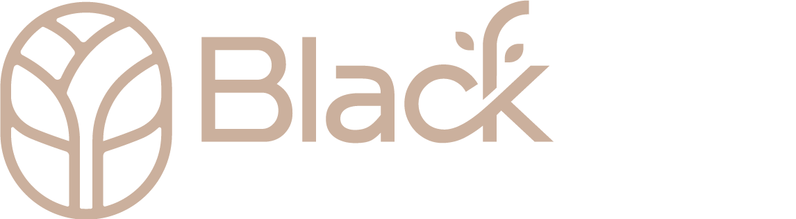 Black Elm Creative